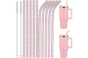 10 Pack Replacement Straws Compatible with Stanley Tumbler