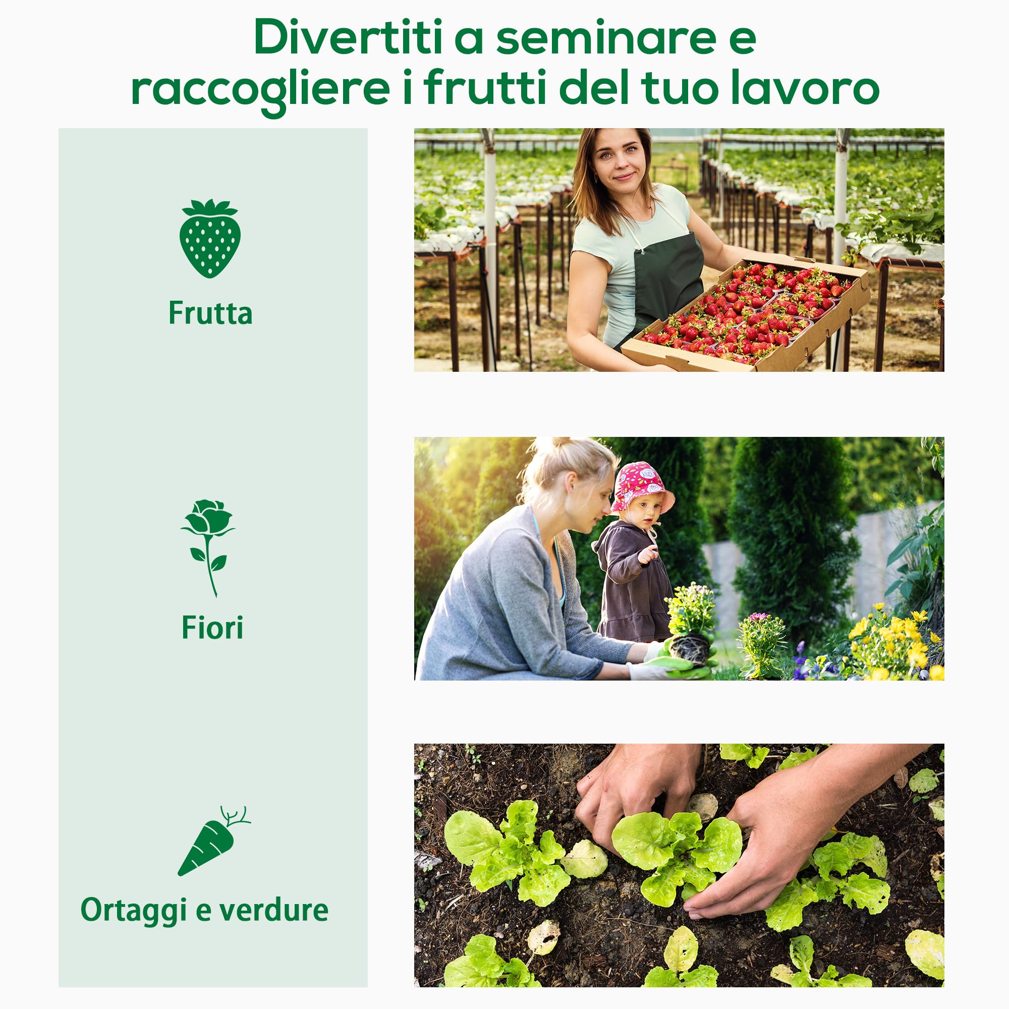 Outsunny Serra da Giardino con Porta Avvolgibile, 2 Finestre e Bordi Estesi, Serra per Piante in Acciaio e PE, 200x76x168 cm, Bianco