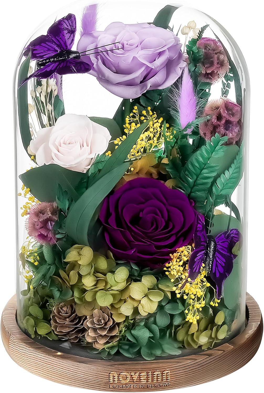 NOVEINN Preserved Flowers in Glass Dome - Eternal Rose Arrangement with Real Preserved Plants, Romantic Forever Rose Gift for Women - Anniversary, Birthday, Mother’s Day, Home Decor(Purple)