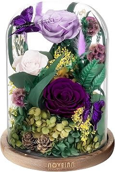 NOVEINN Preserved Flowers in Glass Dome - Eternal Rose Arrangement with Real Preserved Plants, Romantic Forever Rose Gift for Women - Anniversary, Birthday, Mothers Day, Home DecorPurple