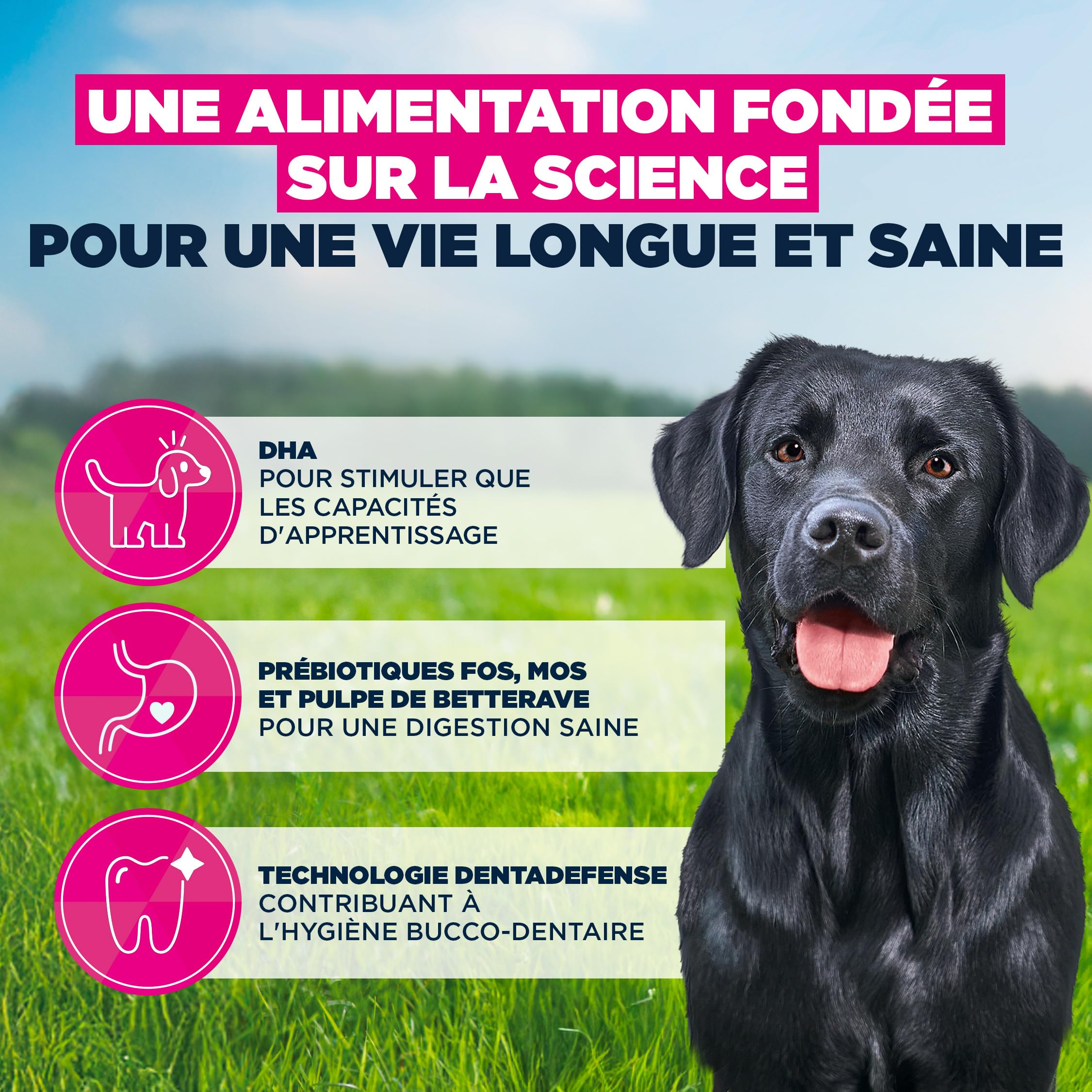 EUKANUBA Life Care Junior Grande Race Poulet Frais 15 kg