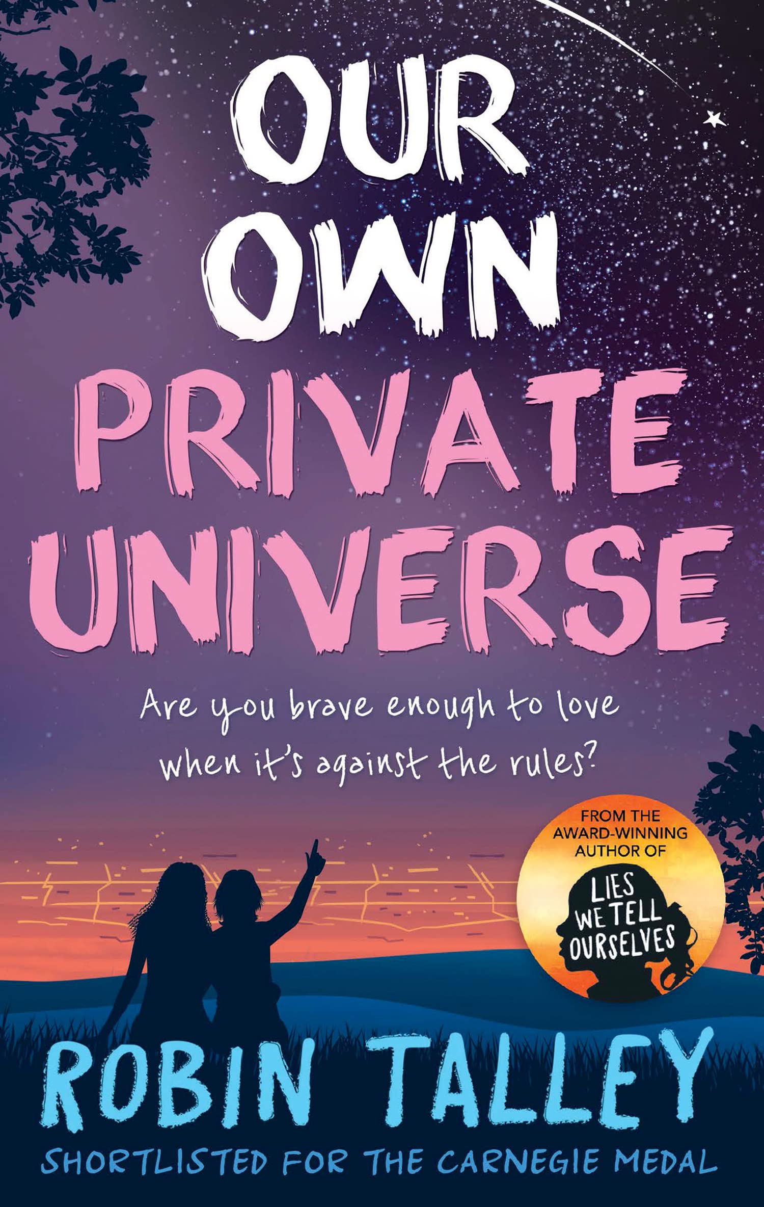 Our Own Private Universe: A Compelling Young Adult Fiction Story of Identity and Lesbian Romance
