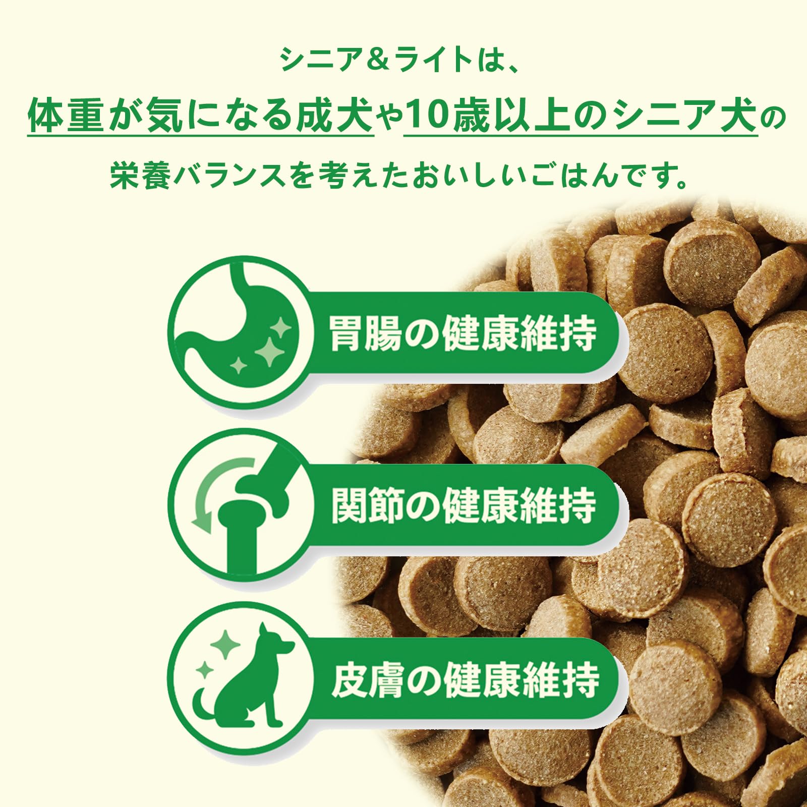 Amazon.co.jp: 【お試しセット】yum yum yum(ヤムヤムヤム