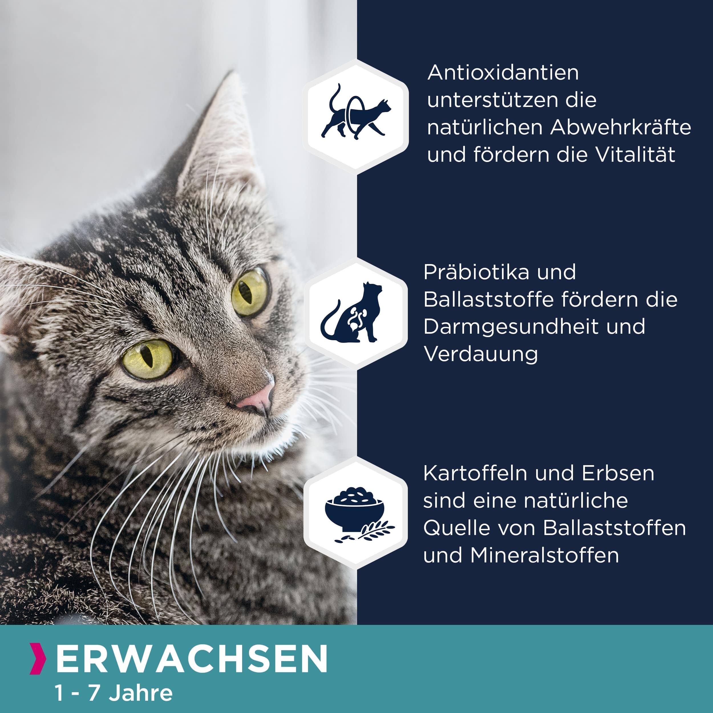 Eukanuba Katzenfutter trocken getreidefrei - Premium Trockenfutter mit viel Lachs für ausgewachsene Katzen, 10kg