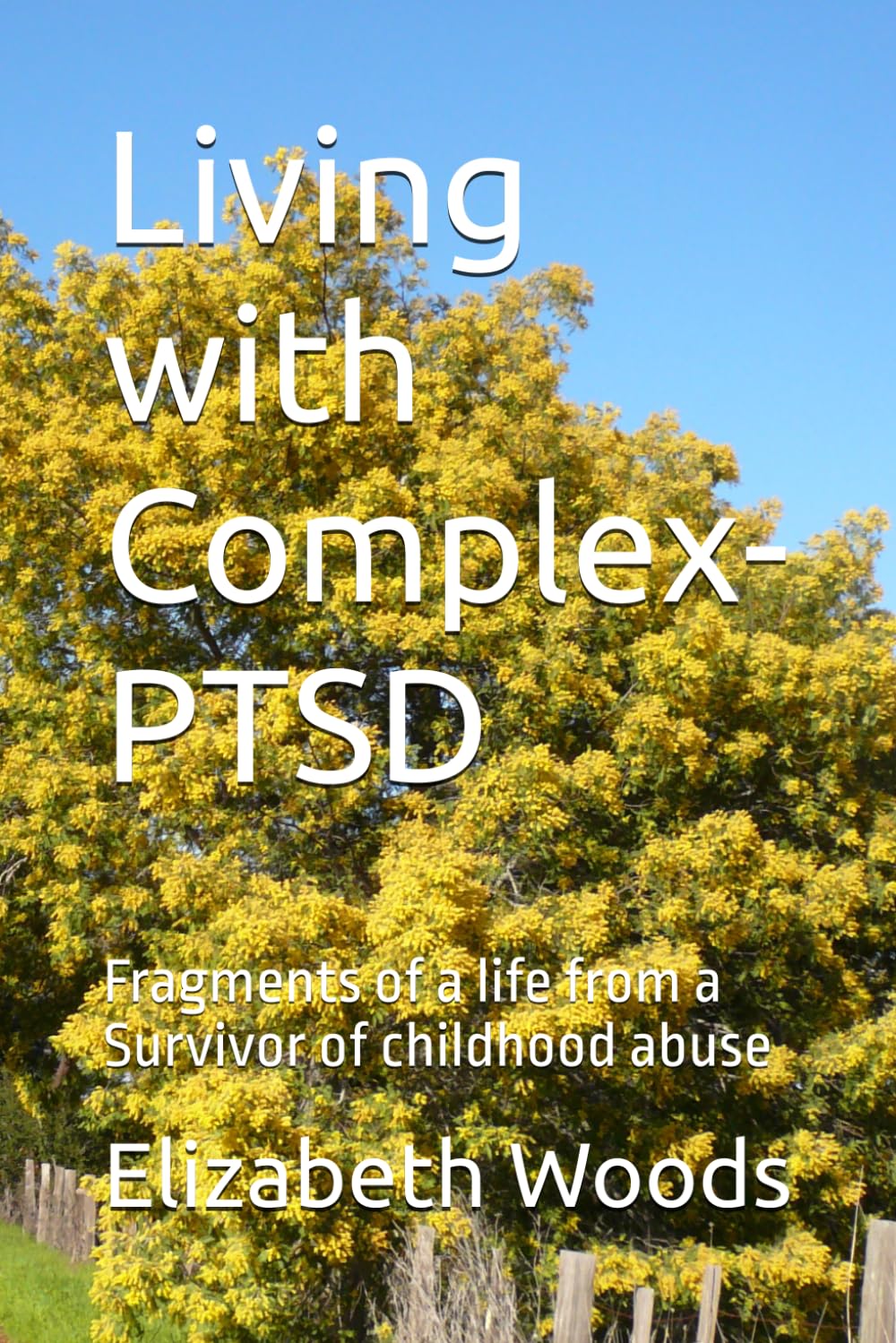 Living with Complex-PTSD: Fragments of a life from a Survivor of childhood abuse