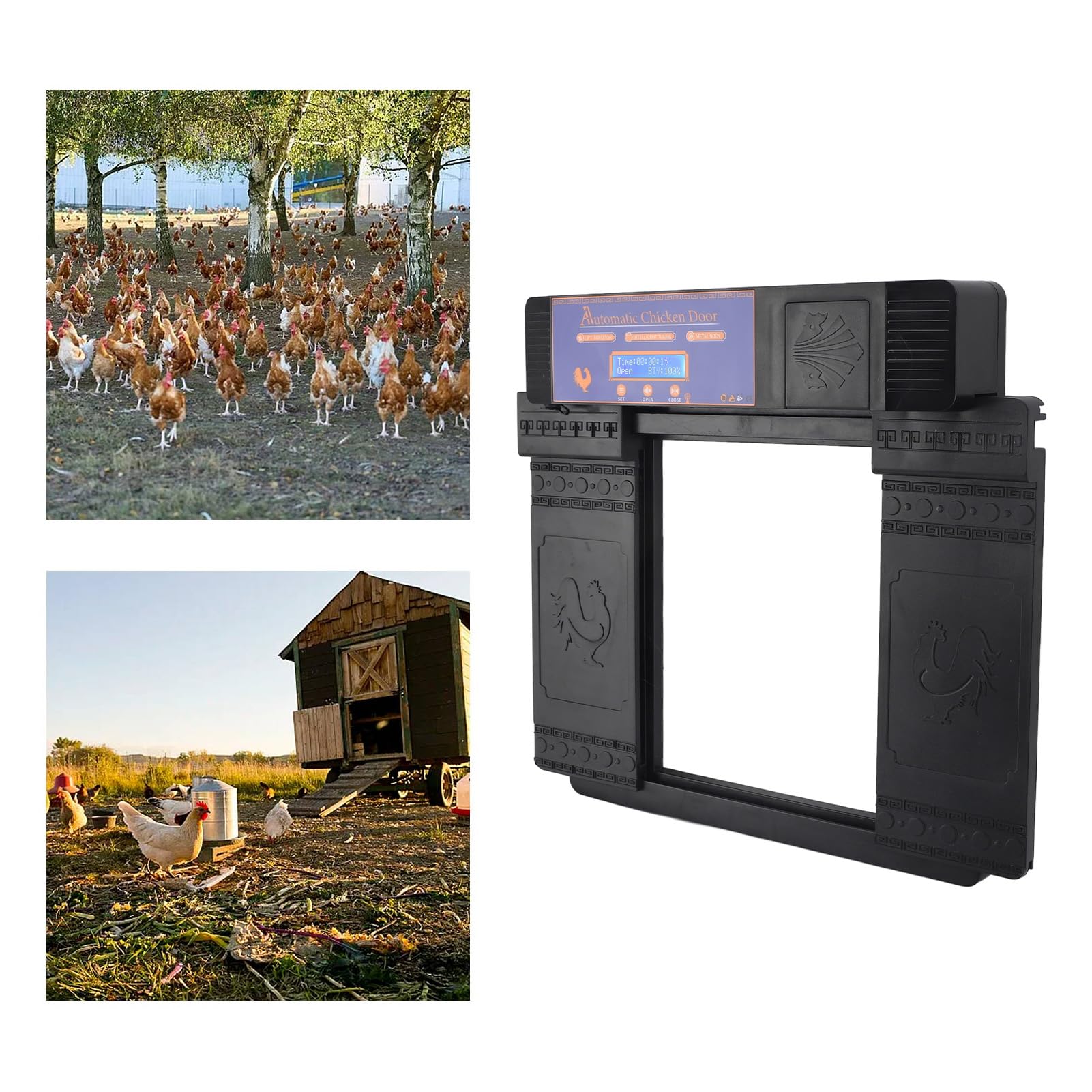 Porta Automatica per Pollaio, Robusta, Facile da Programmare, Comoda, Alimentata a Batteria, Porta a Doppia Apertura, Antiruggine, Durevole con Schermo LED HD per Esterni (BLACK)