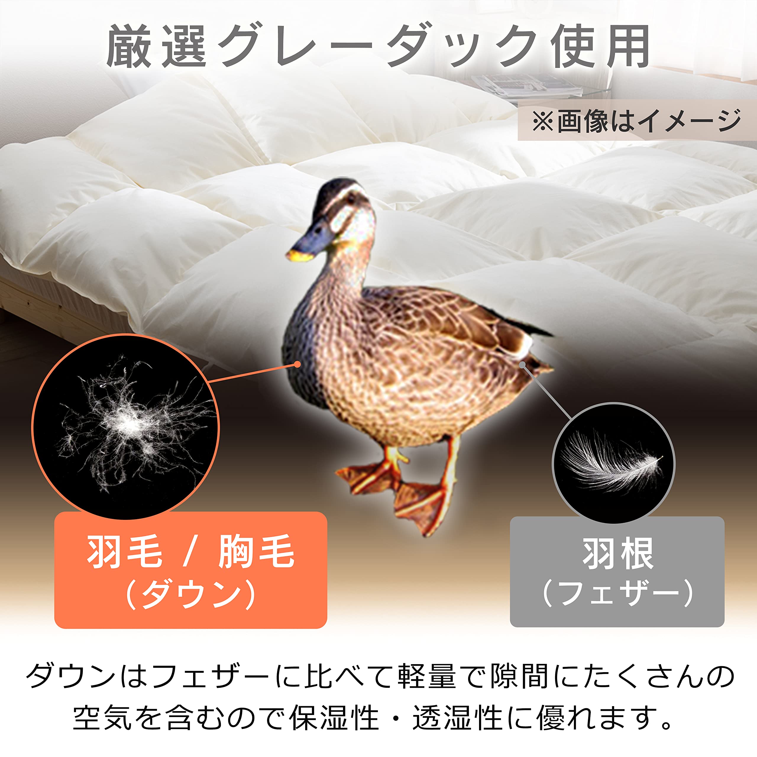 Amazon｜【Amazon.co.jp限定】アイリスプラザ 羽毛布団 掛け布団 