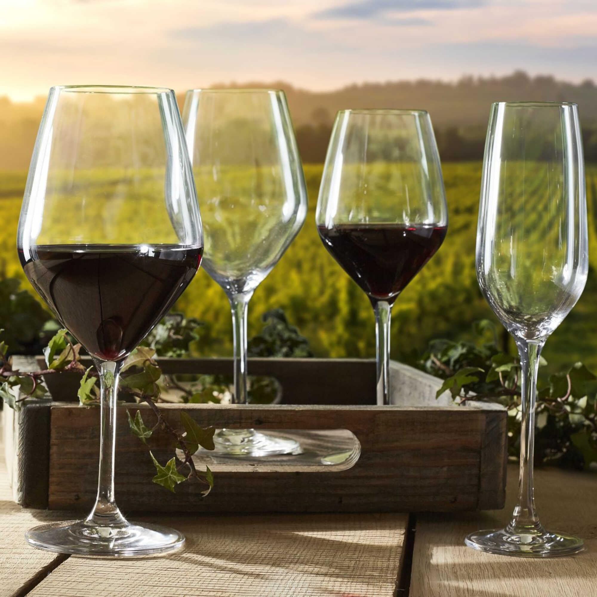 Copas de Vino, Caja de 6 Vasos de Vino de Cristal de 48 cl