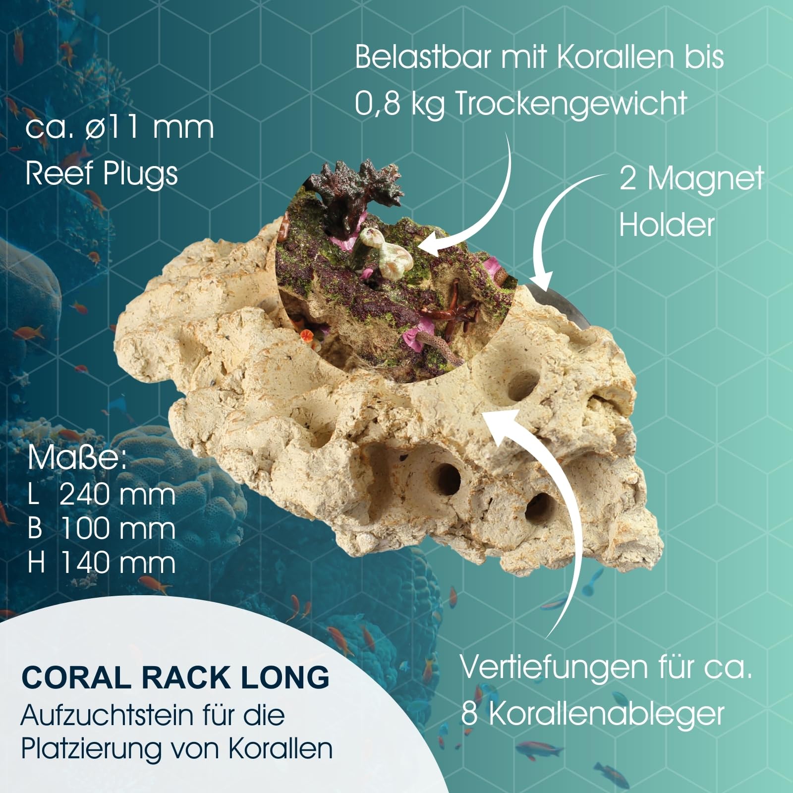 Tunze Coral Rack Long, 1 Stück (1er Pack), 0104.820