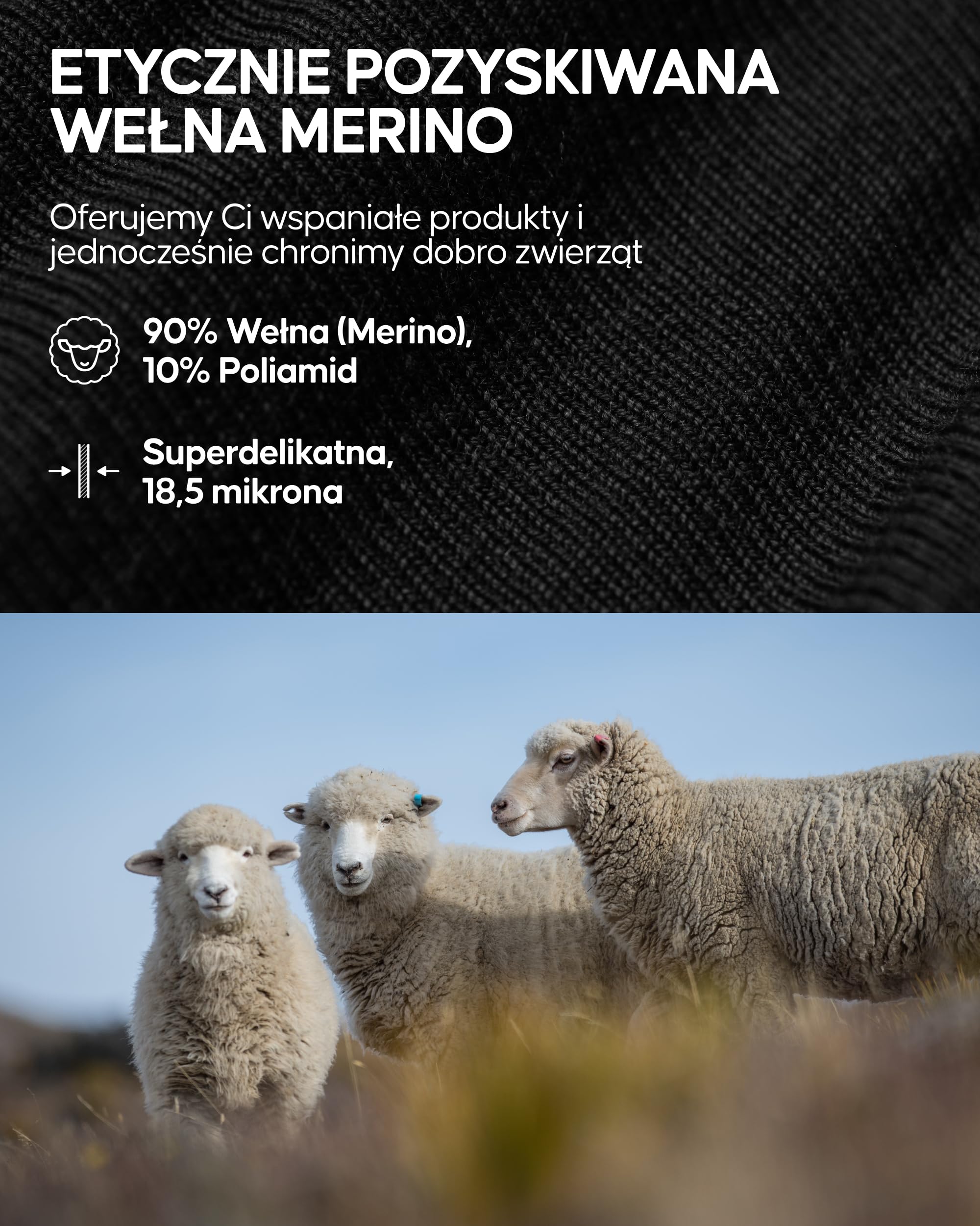 DANISH ENDURANCE Szalik z Wełny Merino Najwyższej Jakości, Miękki, Ciepły Szalik, na Zimę, dla Mężczyzn i Kobiet