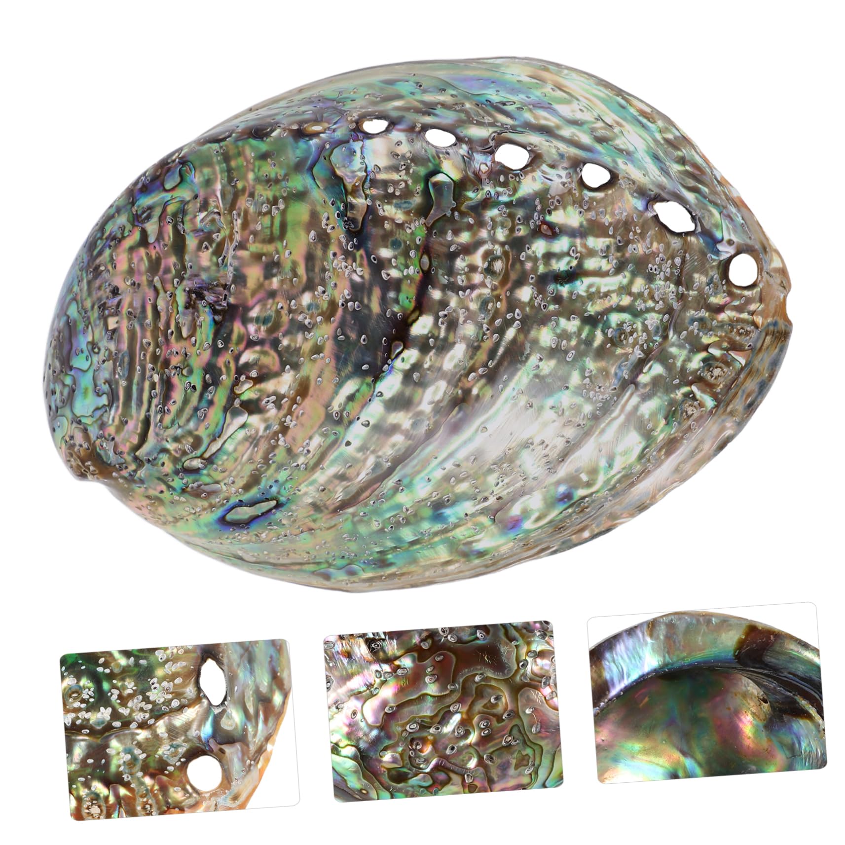 Veemoon Abalone-Meeresmuschel Accessoires,Große Abalone-Schale Für Hochzeit- Heimdekorationen DIY Decorative Accessoires Party