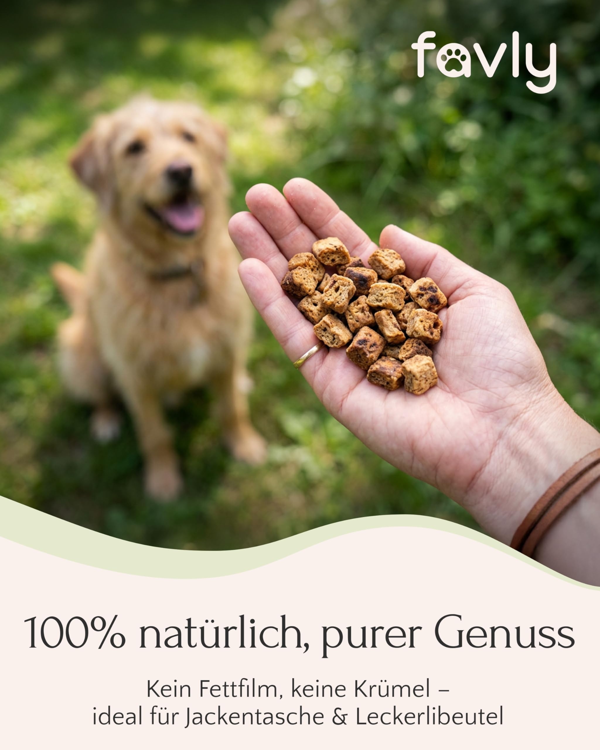 FAVLY Pure Bites Lamm 6x120g, softe Hundeleckerli, Monoprotein | 96% Fleischanteil, getreidefrei & zuckerfrei, für Allergiker geeignet, ideal als Trainingsleckerli, hohe Akzeptanz