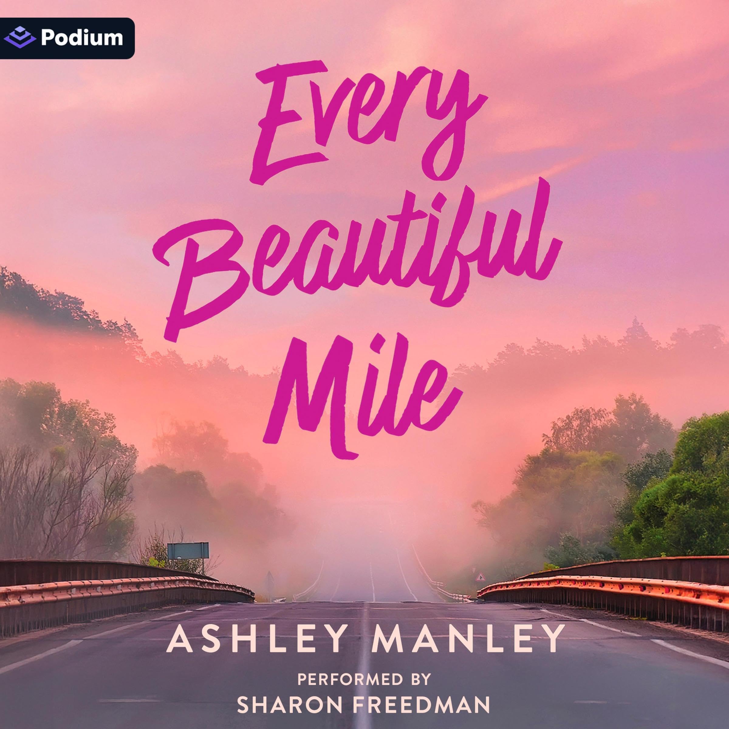 Cover art for Every Beautiful Mile