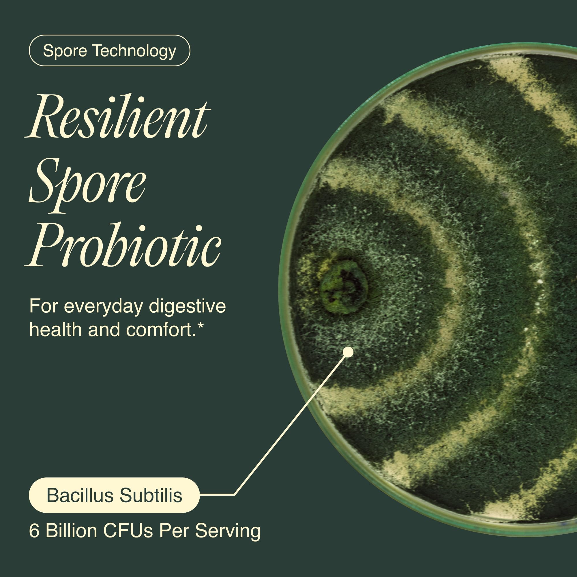 Ecosh Bacillus Subtilis Spore Based Probiotic Supplement for Balanced Belly — Amazon image 4