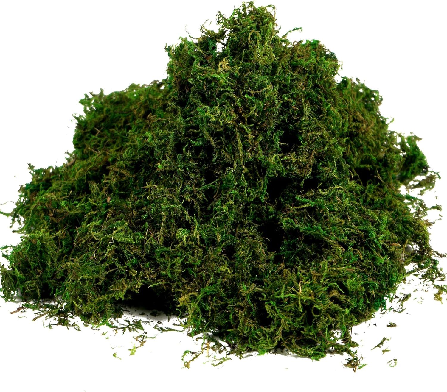 Natural Green Moss 10.5 oz - Decorative Floral Moss for Crafting, Gardening, and Home Decor