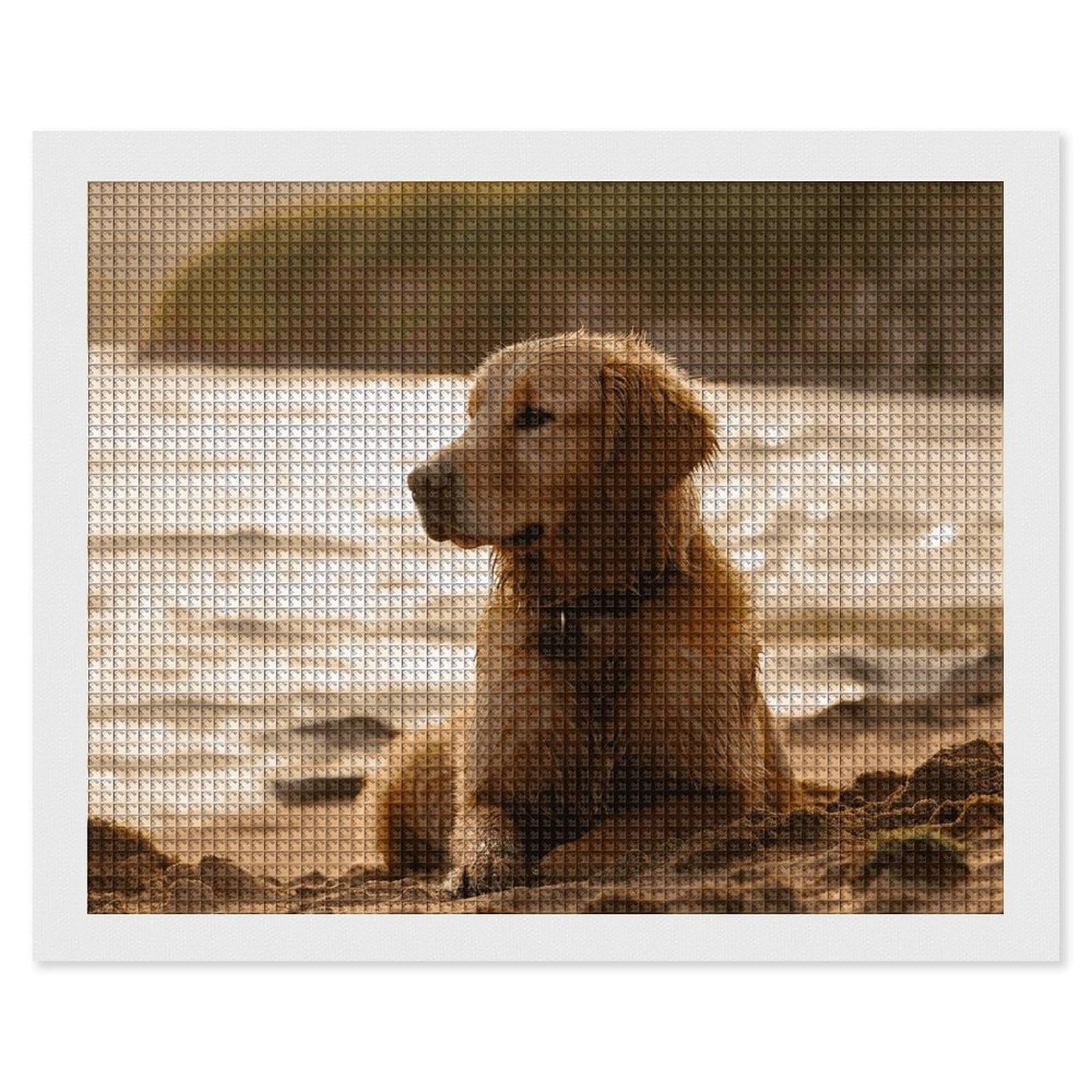 NONHAI Diamond Painting Kits for Adults - DIY Diamond Art Kits for Beginners - Full 5D Paint Drill Diamond Dots Paintings- Retriever Diamonds Pictures Gem Art and Craft Wall Decor 16"x20"