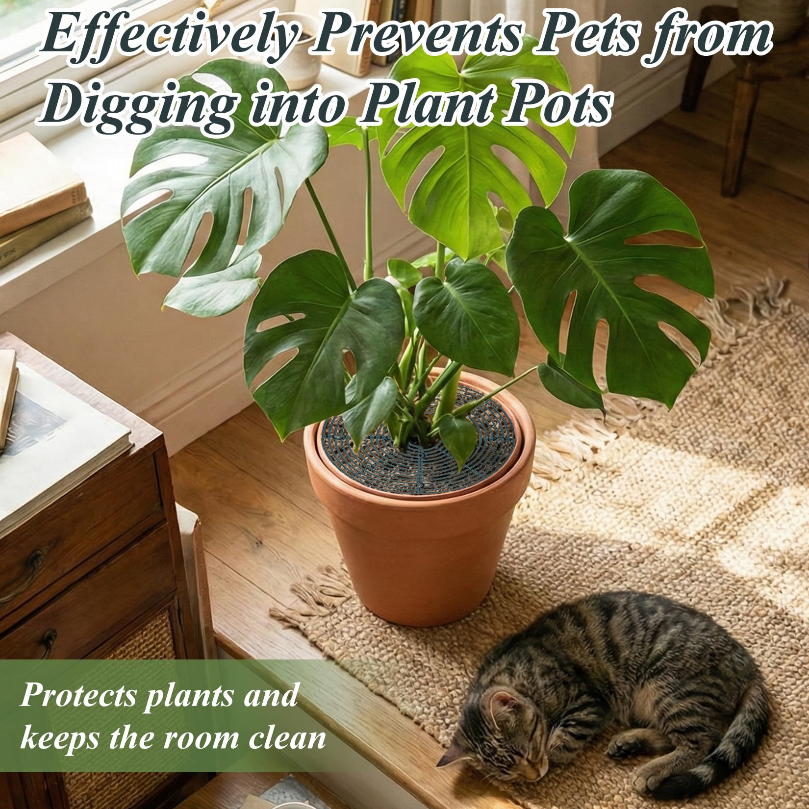 Lot de 4 grilles de pot de fleurs, 30 cm, protection des plantes, chat, en polypropylène, pour plantes, avec goupille de fixation allongée, protège les plantes des enfants et des animaux
