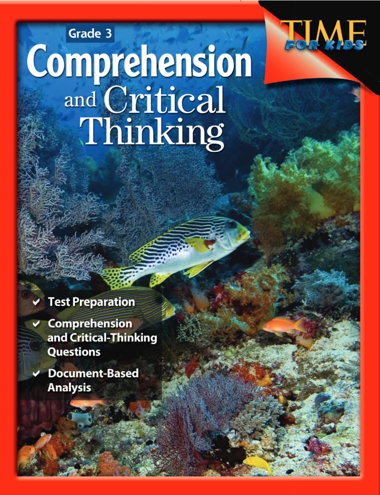 Comprehension and Critical Thinking Grade 3 (Comprehension & Critical Thinking)