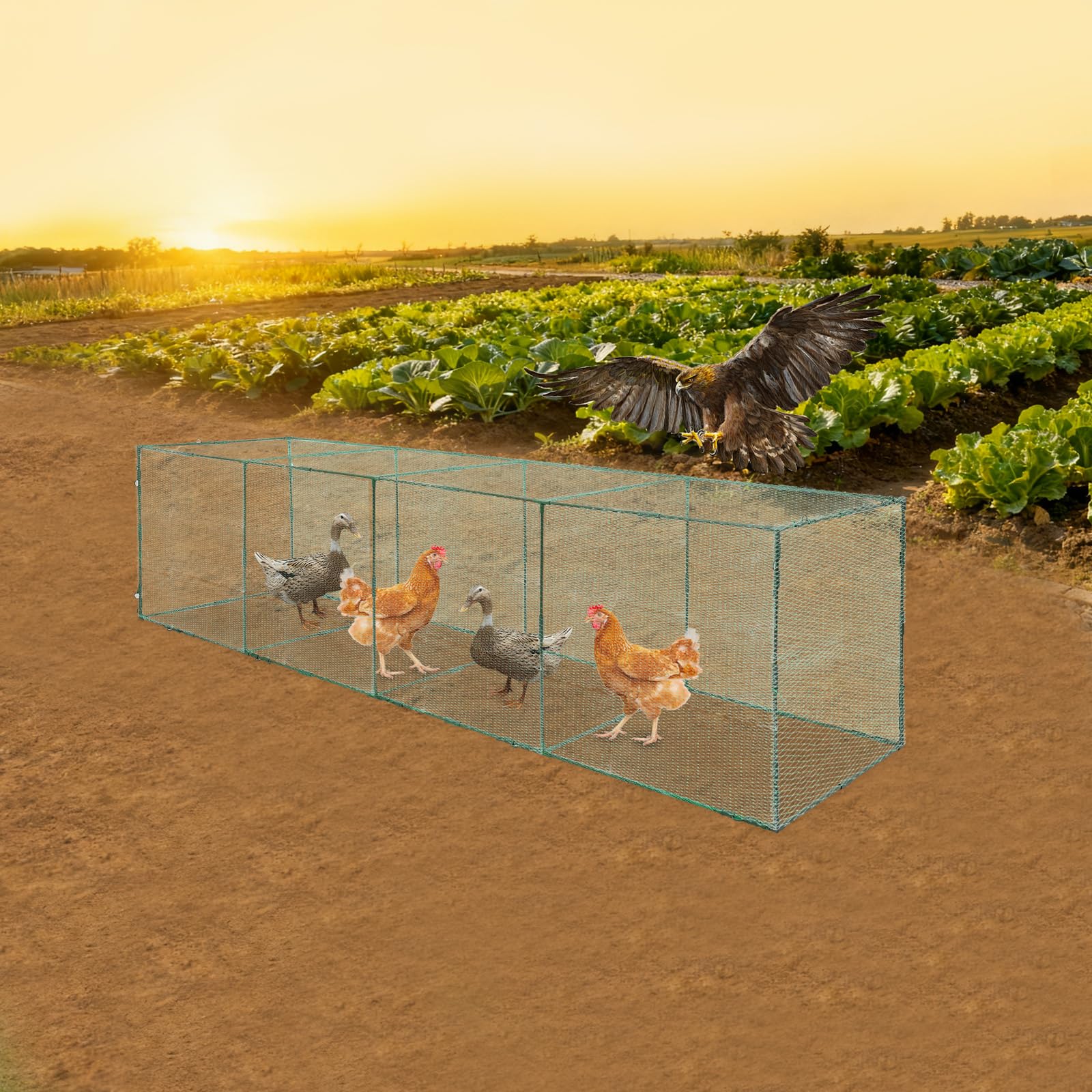 Tunnel pour poules - 320 x 80 x 80 cm - Portable - Grand tunnel pour poulets - Parc mobile pour volailles - Cadre en acier robuste avec filet en nylon - Pour 20 à 30 poules, canards et lapins