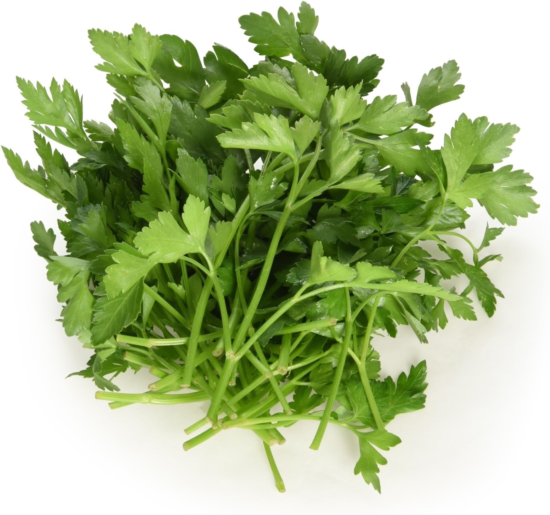 Langmead Herbs Fresh Cut Flat Parsley Leaf, 31g