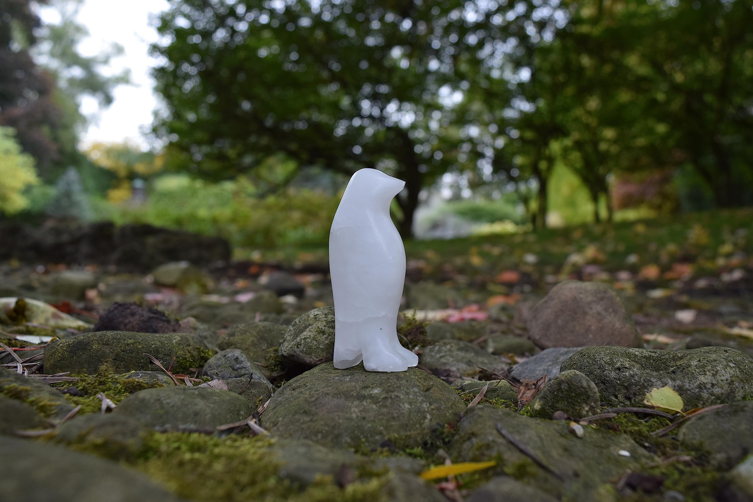 Studiostone Creative DIY Arts & Crafts Carving Kit Kids Adults Polar Bear & Penguin Alabaster Sculpture Soapstone - Image 3