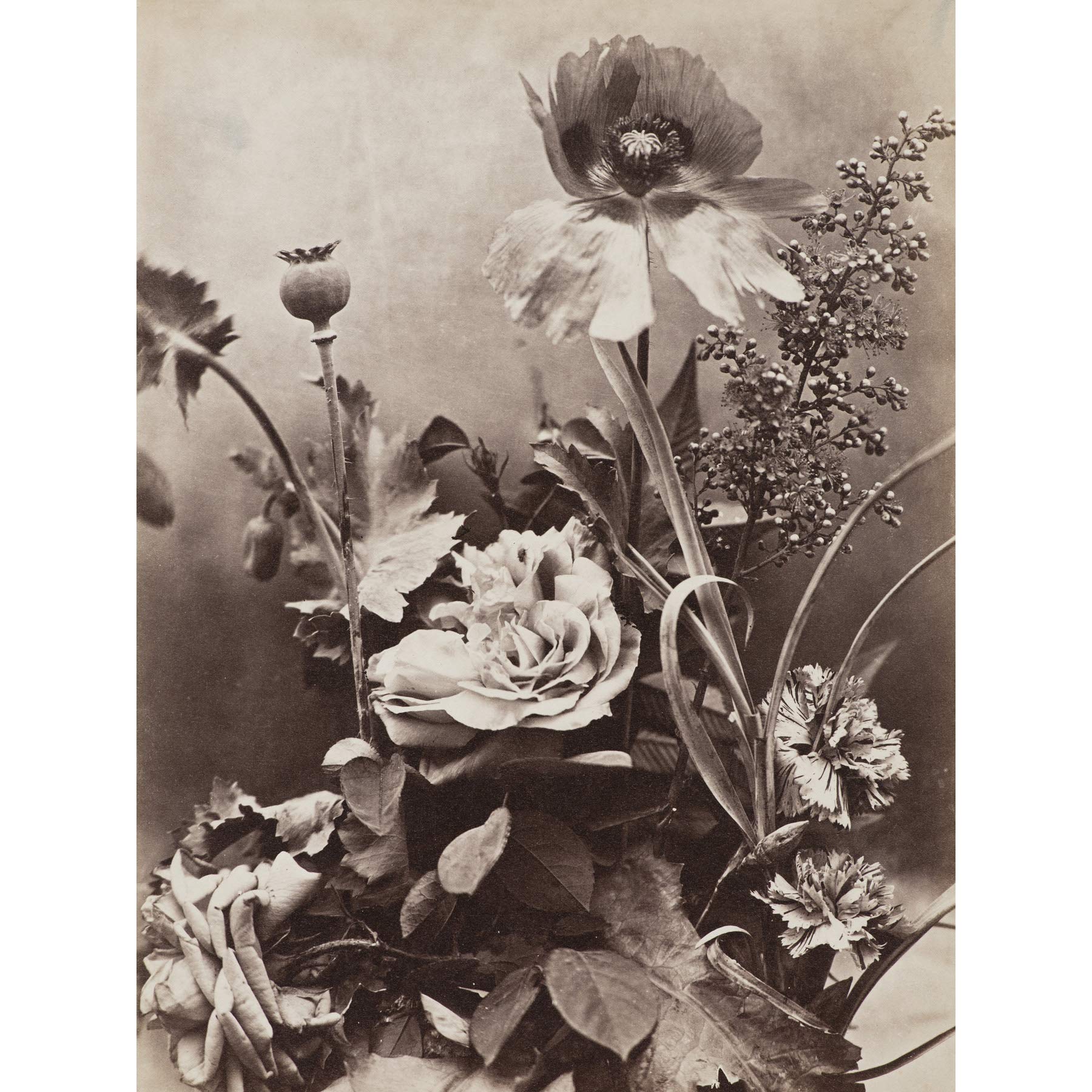 Artery8 Charles Aubry Roses Poppies And Carnations Photo Large Wall Art Poster Print Thick Paper 18X24 Inch