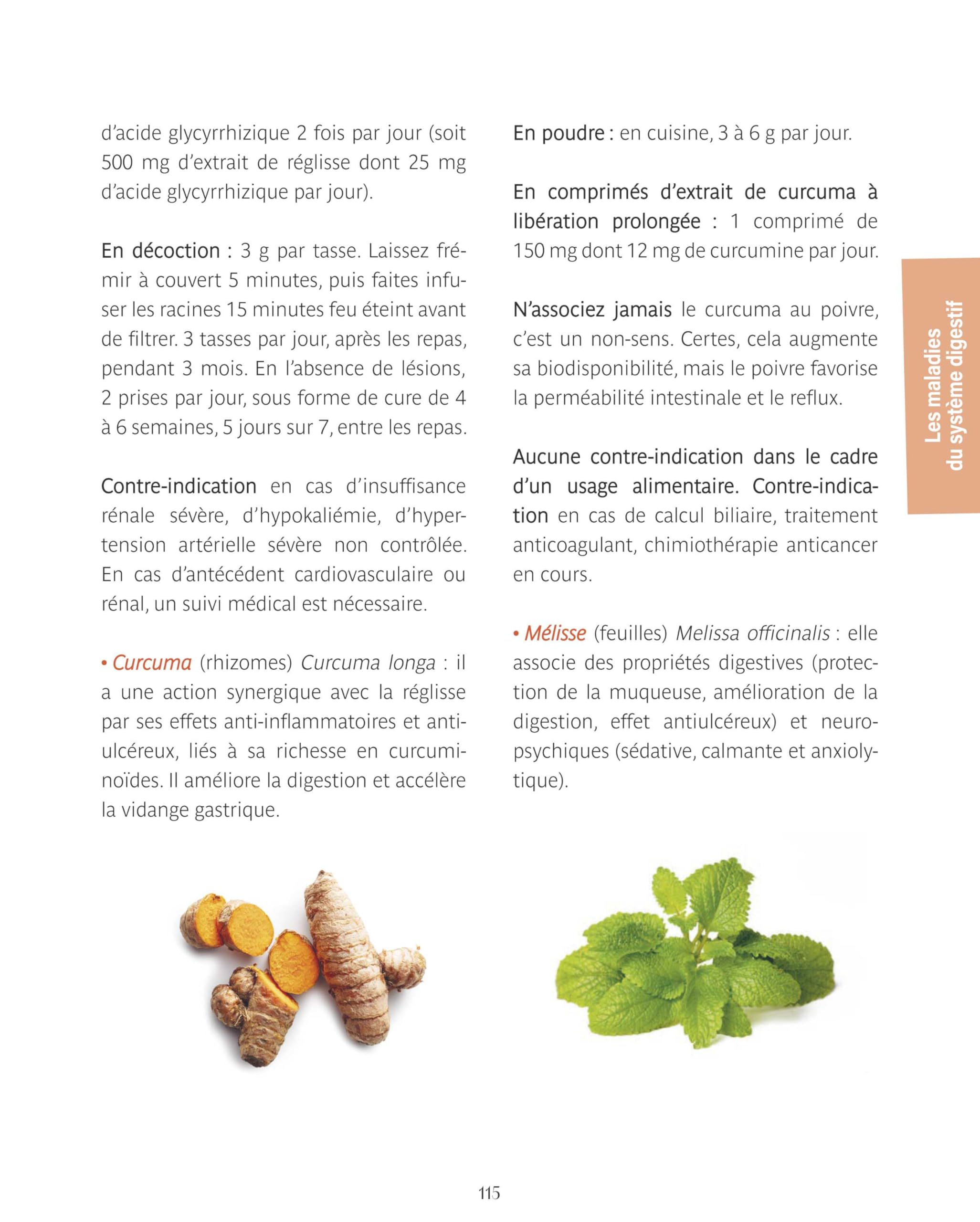 Le guide familial de la santé - ORL Cardiovasculaire Dermatologie Système digestif - Tome 1: Tous les conseils issus des médecines complémentaires pour vous accompagner