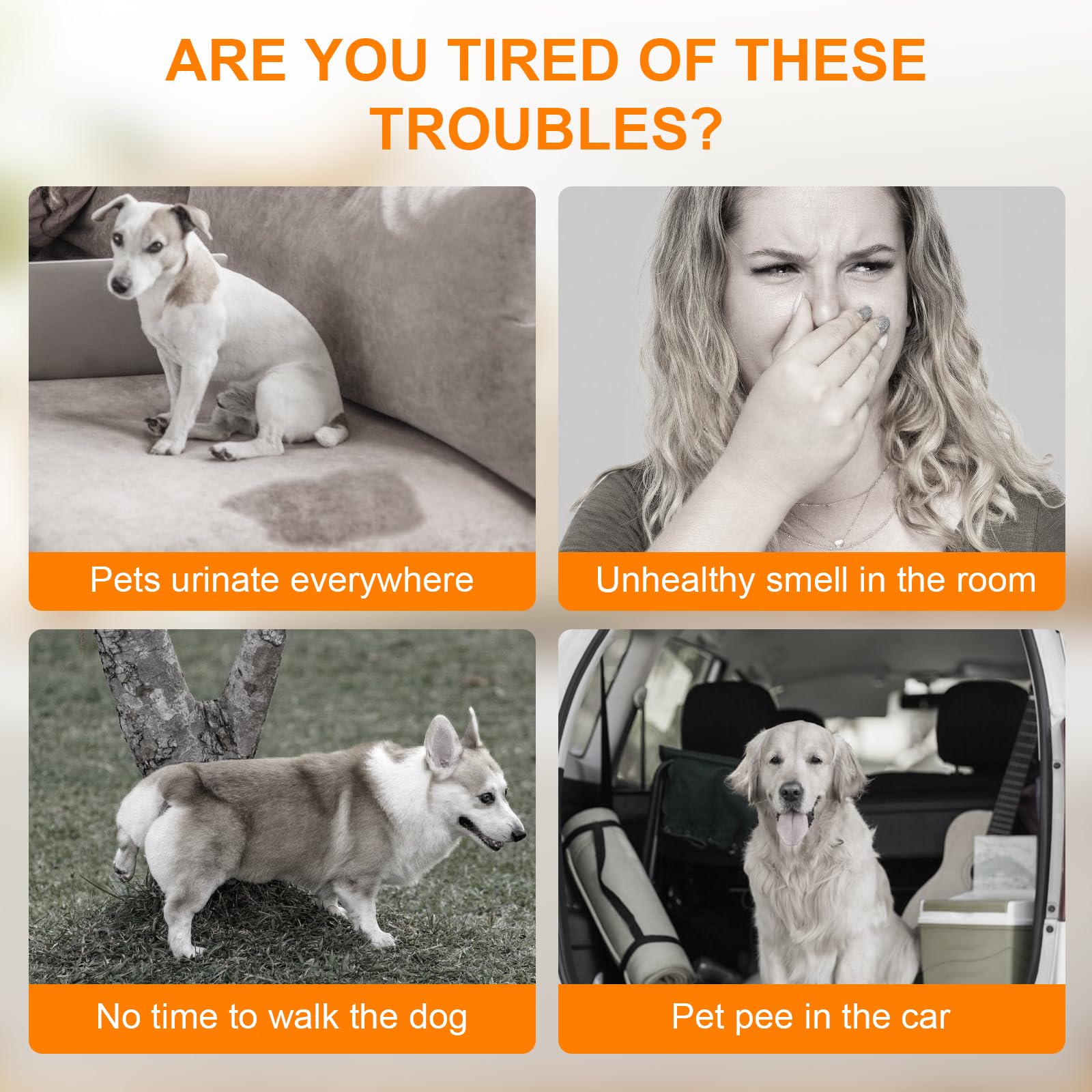 Urinierpads für Hunde