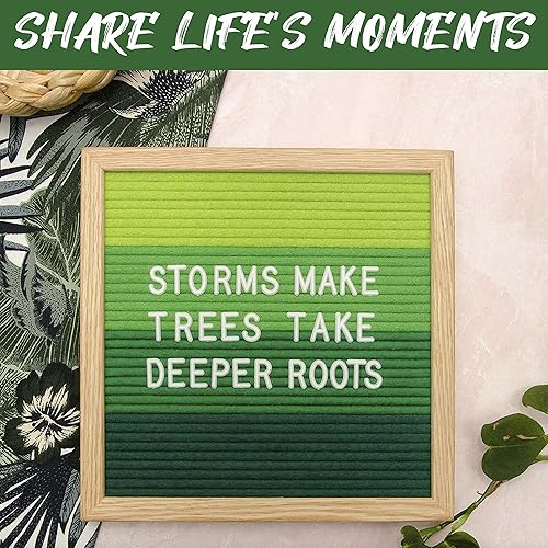 Miniatura 102 de Letrero de fieltro negro y letras blancas de 10 x 10 pulgadas Este letrero personalizable incluye 300 letras de plástico y marco de roble., Negro