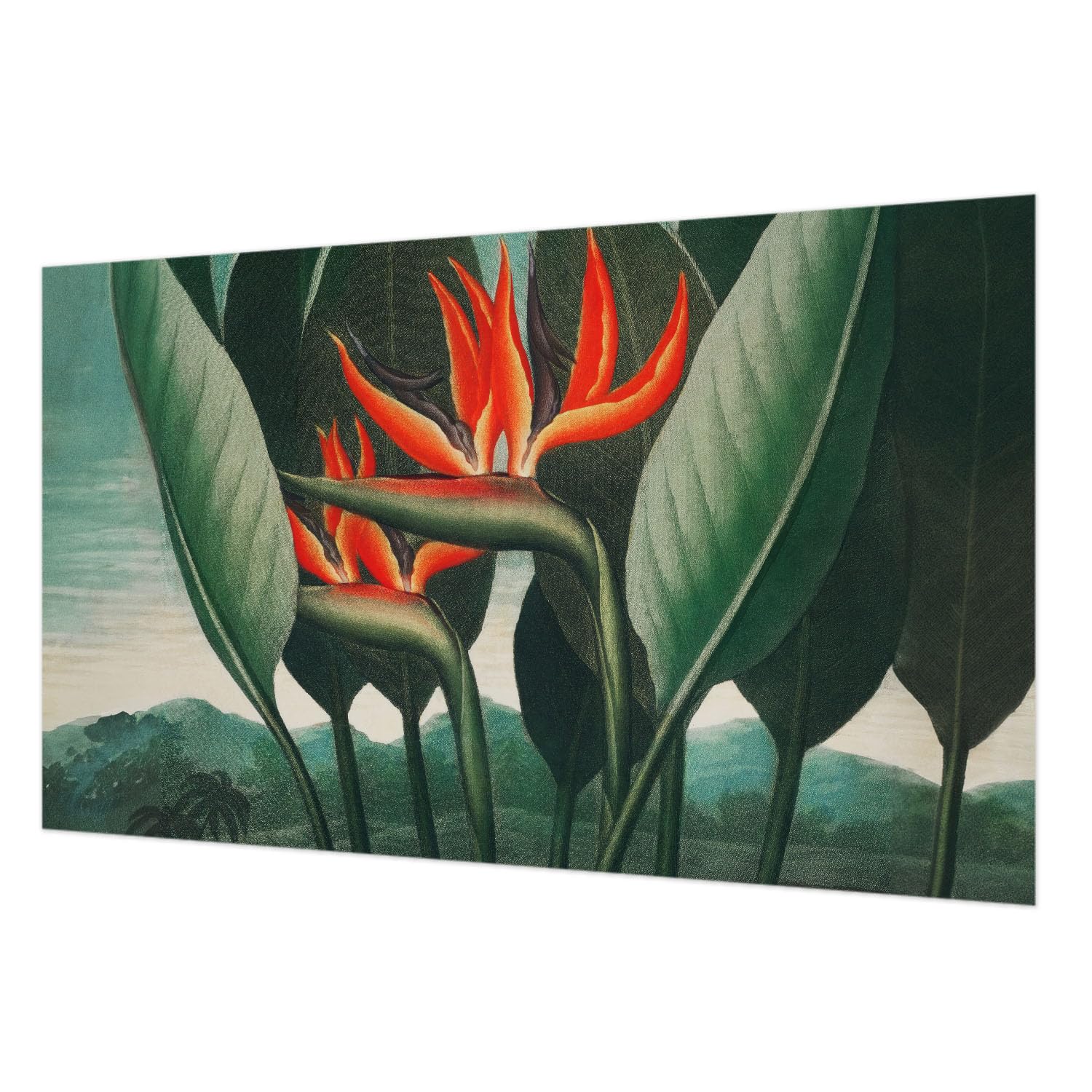 Papier peint intissé fleurs exotiques pour chambre et salon