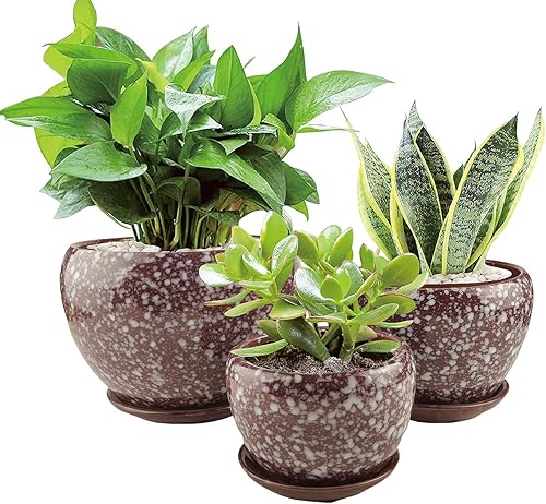 BonzaPicks Jarrón de cerámica para macetas de interior, juego de 3 con agujero de drenaje y platillo para suculentas, aloe vera, hierbas y