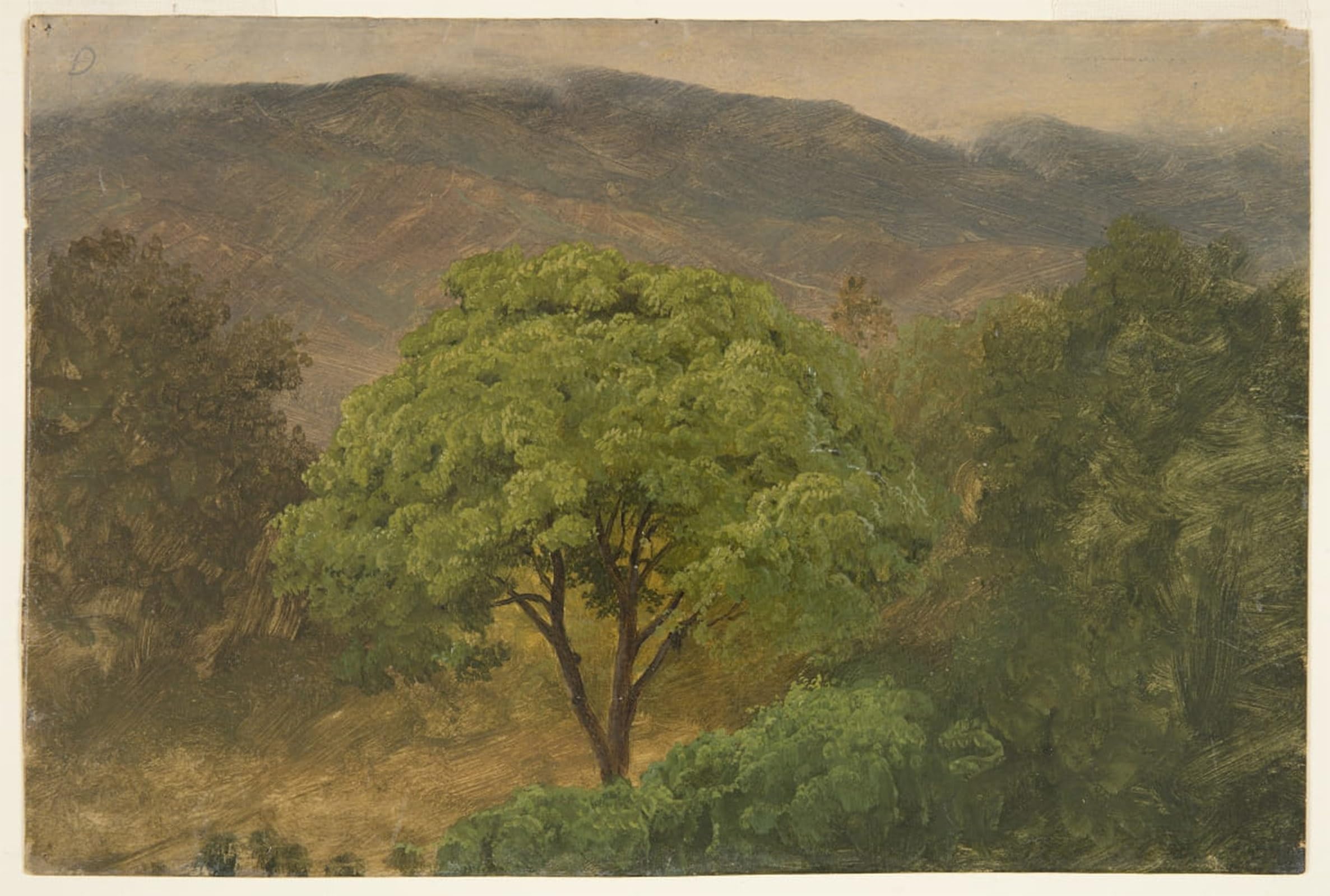 POSTERIIk Famous Print Pop Art Wall Art Graffiti Genip Tree in the Mountains Jamaica by Frederic Edwin Church Art Prints for Home Decor 60x90cm