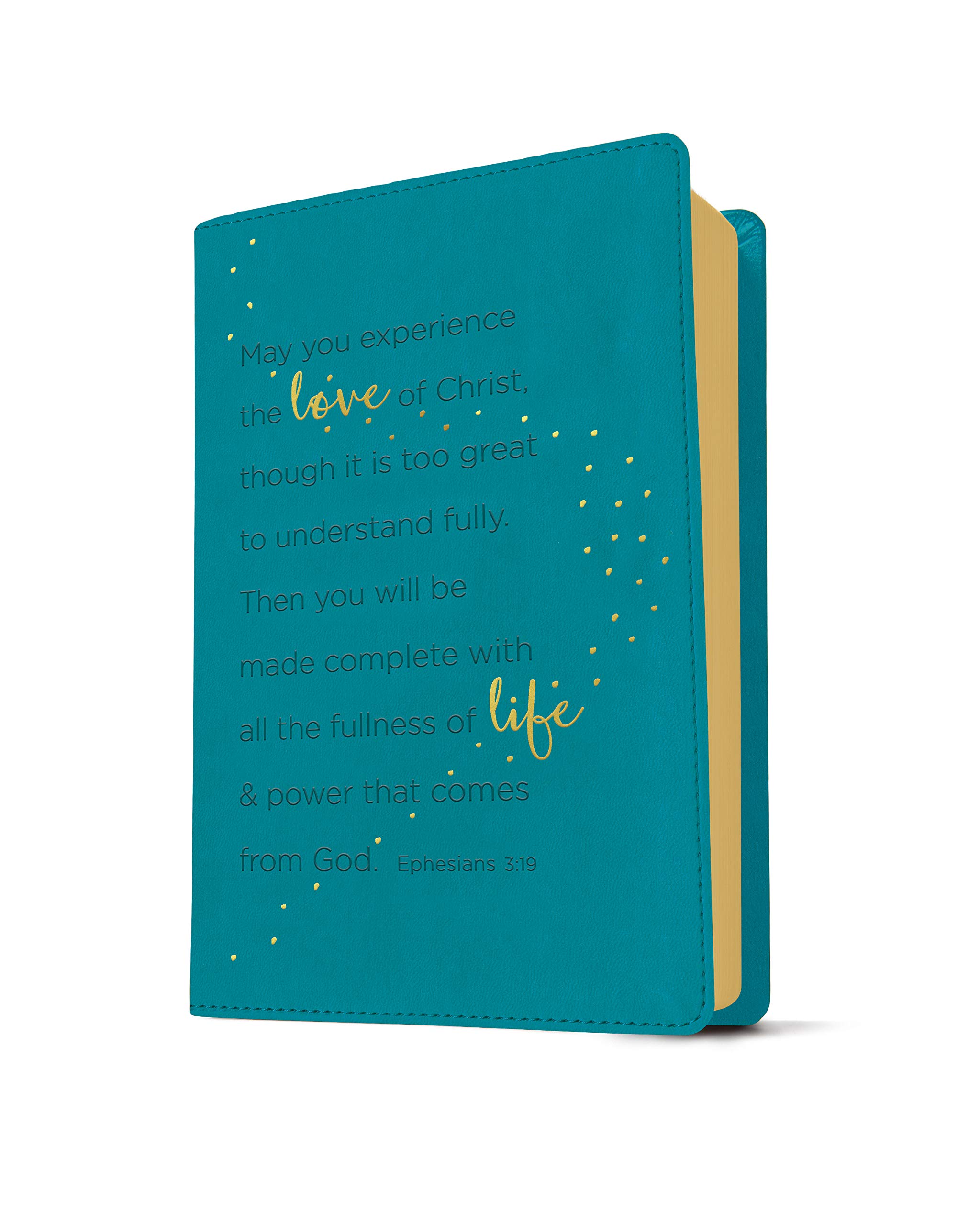 Tyndale NLT Teen Life Application Study Bible (LeatherLike, Teal), NLT Study Bible with Notes and Features, Full Text New Living Translation - Image 4