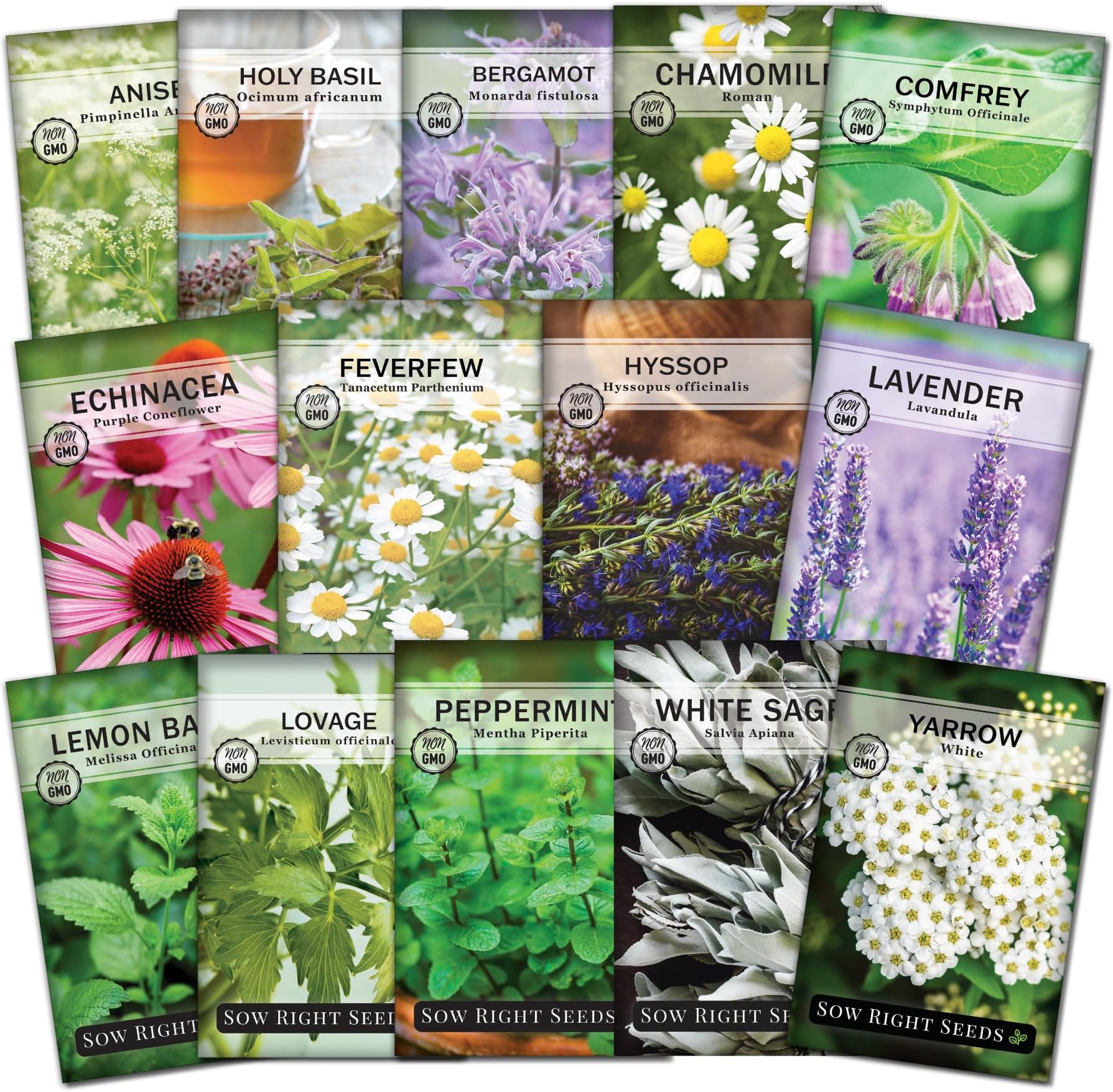 Sow Right Seeds - Large Medicinal Herb Seed Collection for Planting - Chamomile, Echinacea, Lavender, Mint, Lovage, Lemon Balm, & More - Non-GMO Heirloom for Home Remedies, Teas, Tinctures