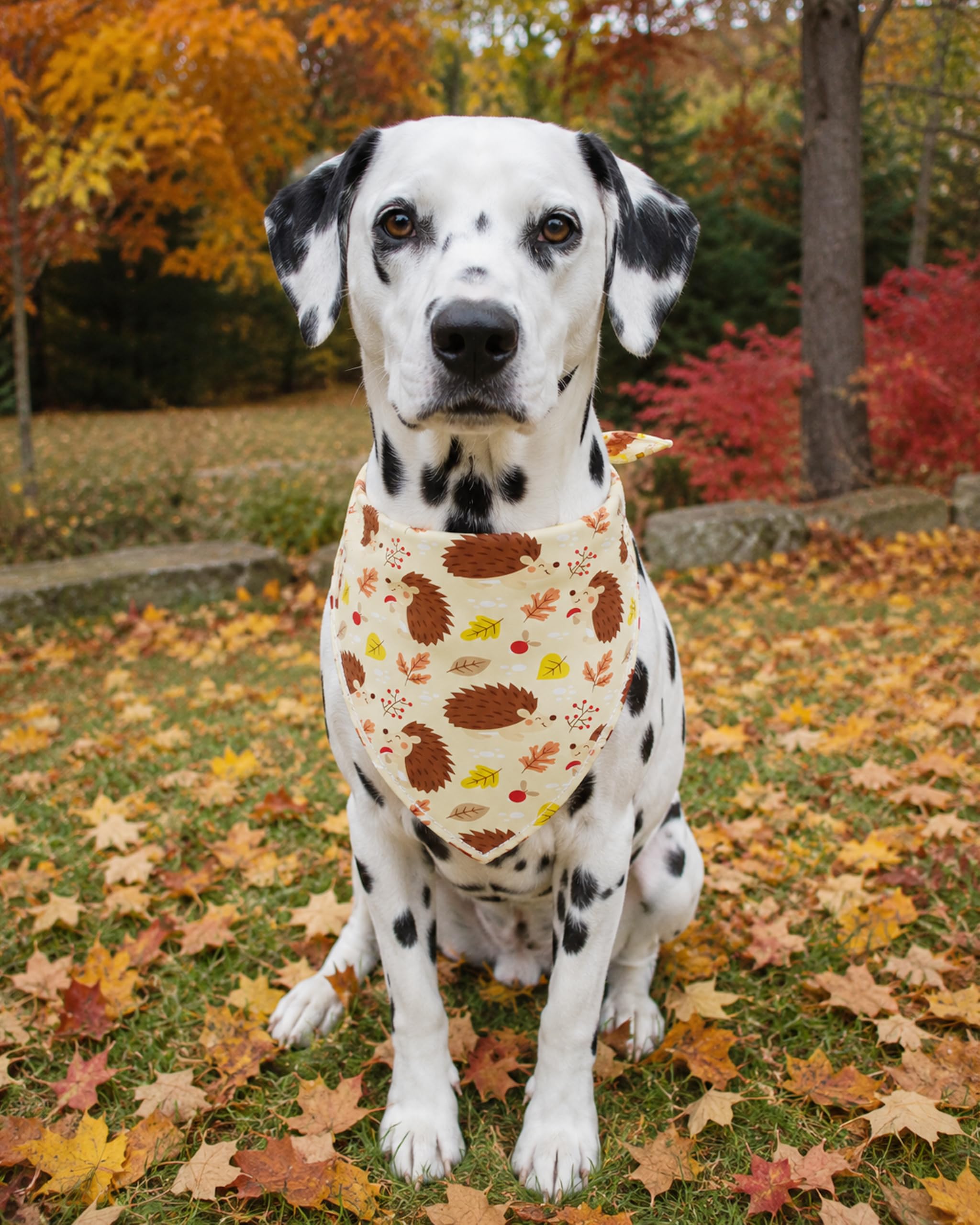 Halstücher für Hunde, Ahornblatt-Motiv, Dreieck, Halstuch, Lätzchen, Halstuch, Set für mittelgroße Hunde, Erntedankfest, Ernte, Foto-Requisiten, Zubehör, 100 Stück