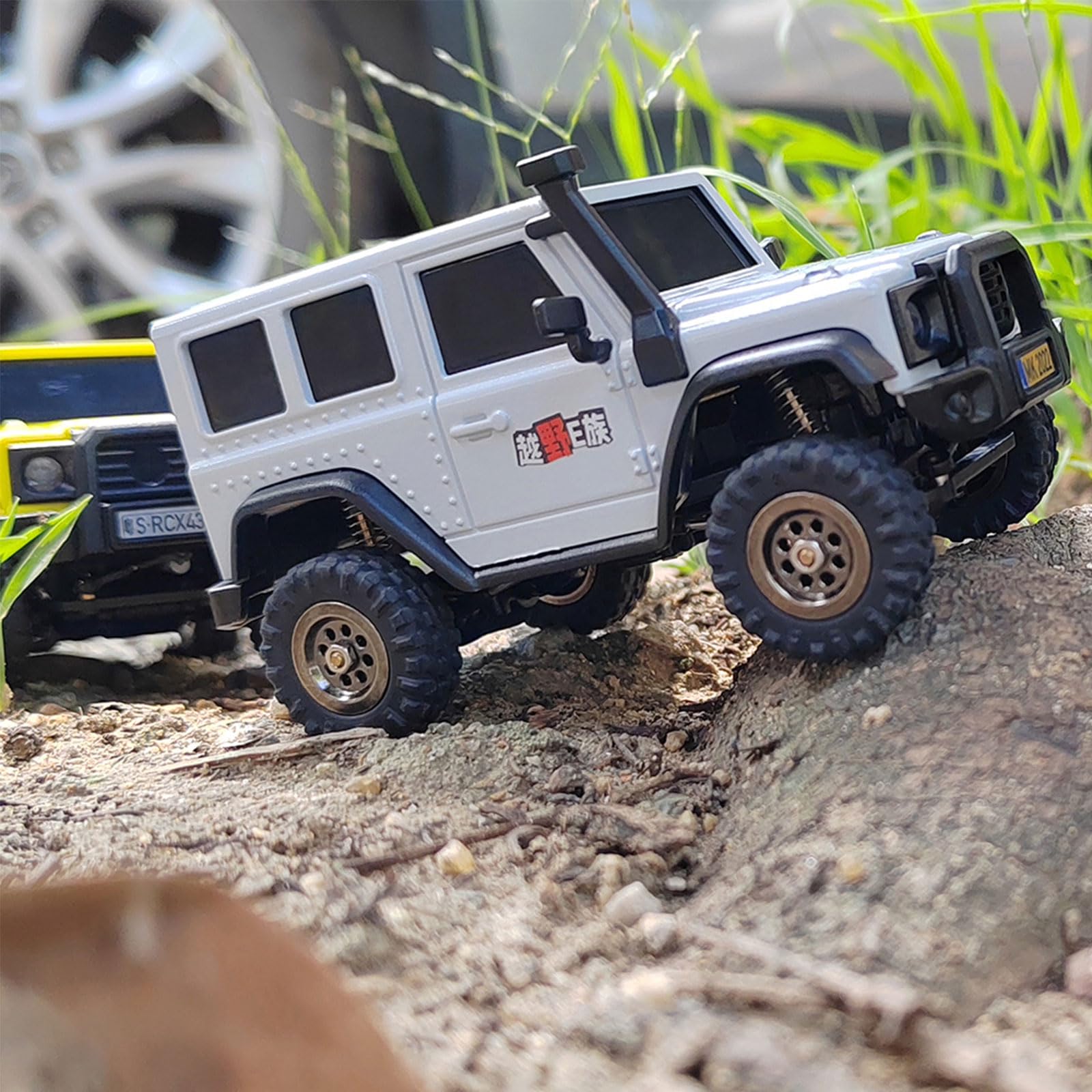 LDARC 1:43 Mini RC Crawler RTR 4x4 2.4GHz Remote Control Rock Truck Hobby Grade