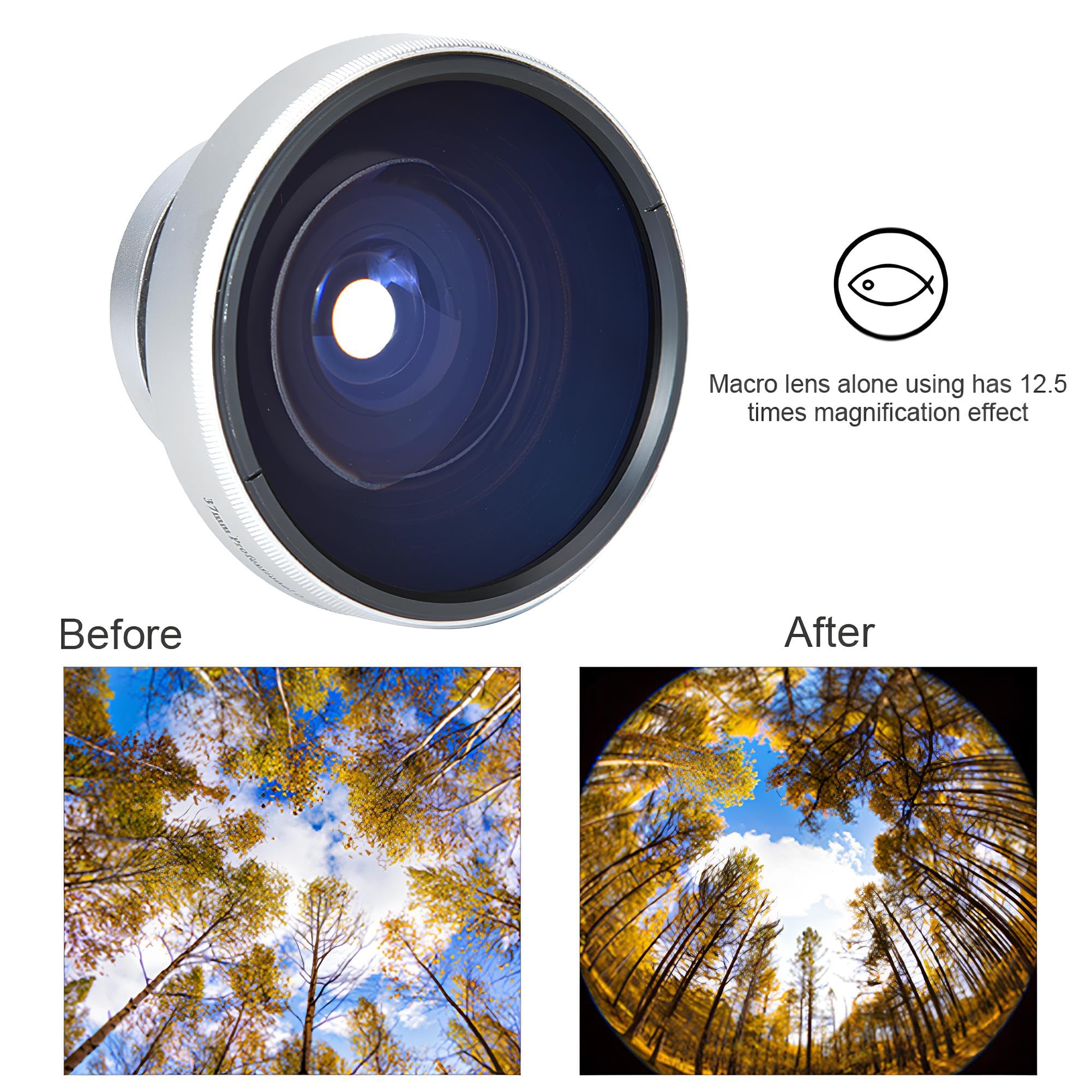 Amazon.com : Acouto Fish Eye Lens for Camera 37mm 0.25X