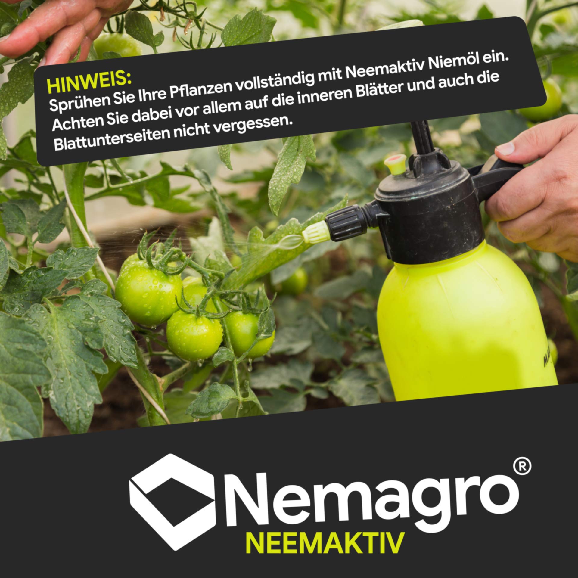 Neemaktiv - Neemöl/Niemöl mit Emulgator Rimulgan - 250ml - (Neem Öl, Neemöl für Pflanzen, oel, oil, nem öl, neem plus, neem extrakt, neemöl spray)