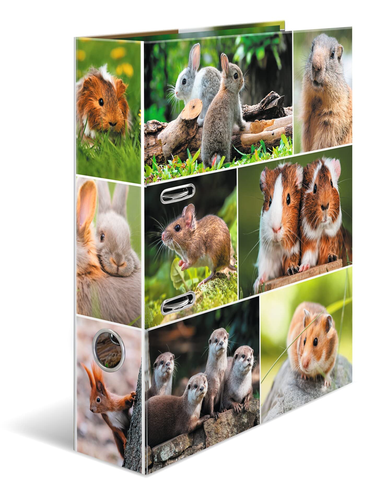 HERMA Lever Arch File Animal Worlds with Rodents Motif, A4, 70 mm Spine, with Inner Print, Pack of 10