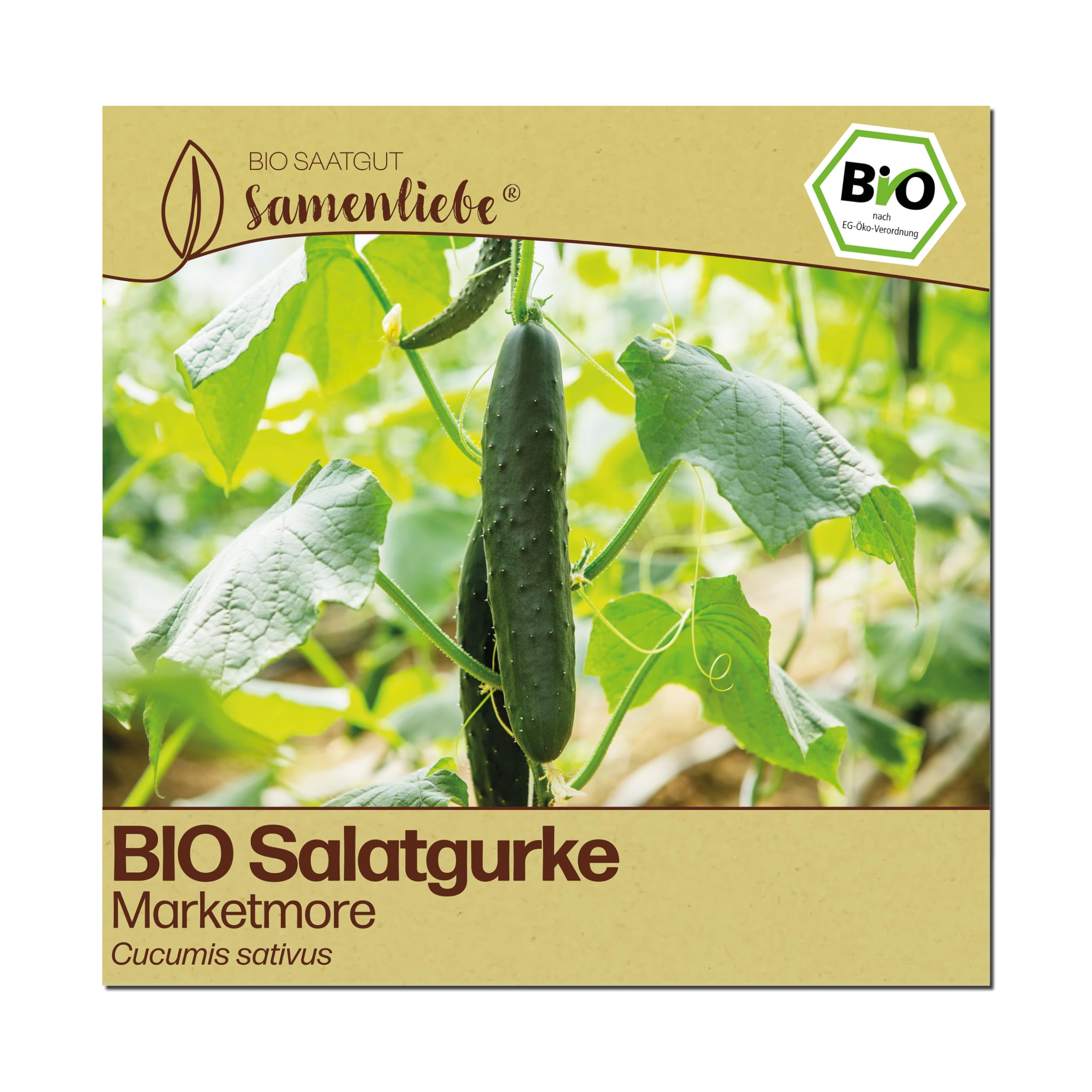 Samenliebe BIO Gurken Samen | Freilandgurke Marketmore - lang & bitterfrei - samenfestes BIO Saatgut