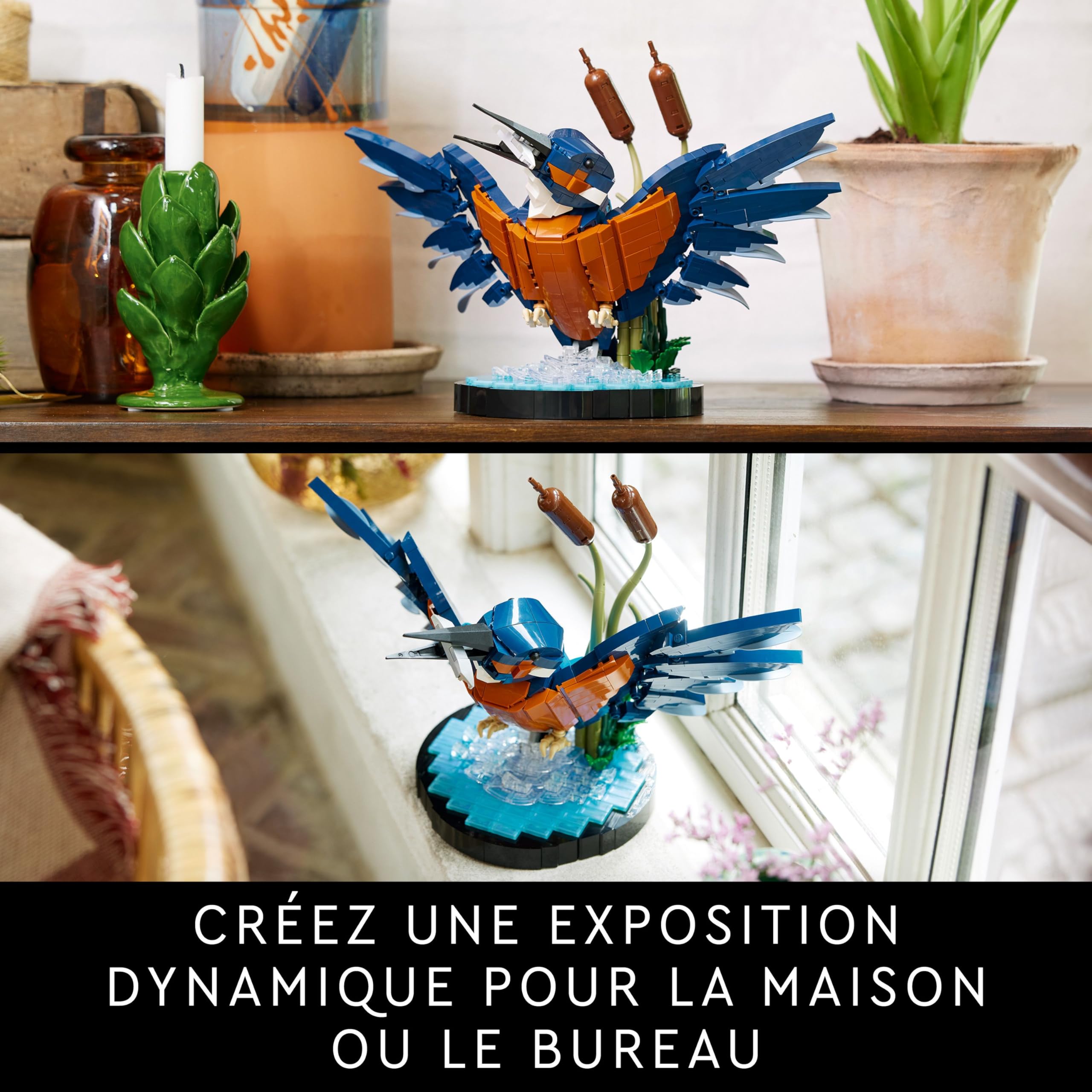 Lego Icons Le Martin-pêcheur - Maquette pour Adulte Amoureux des Oiseaux - Décoration pour la Maison ou Le Bureau - Activité Manuelle - Idée de Cadeau pour Femme ou Homme 10331