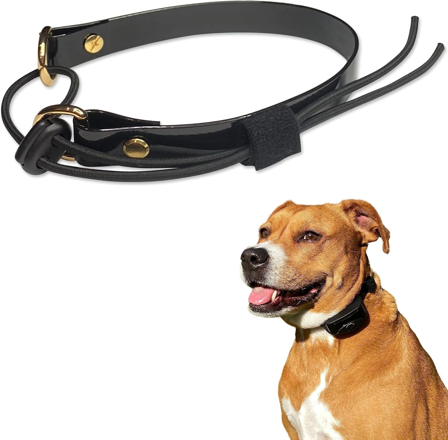 Pawsitive eCollar Replacement Strap Bungee Style Dog