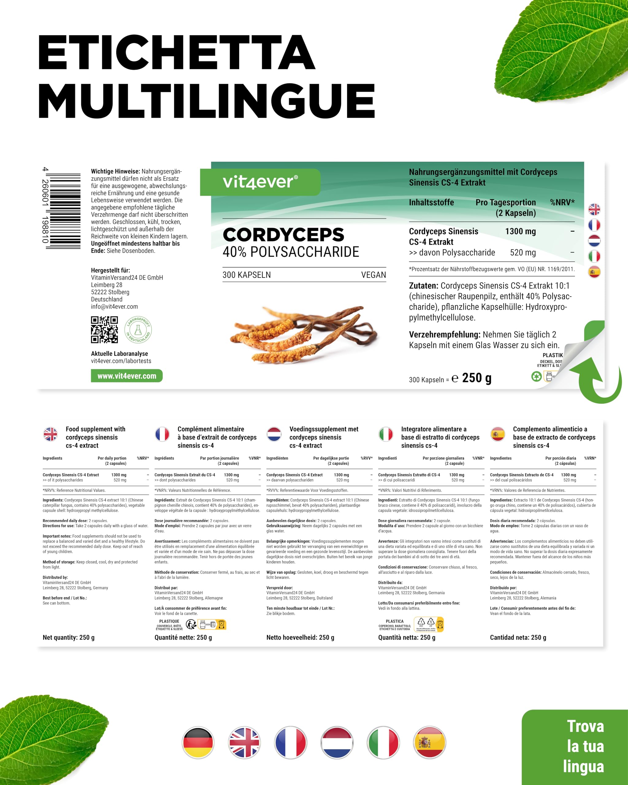 Fungo Cordyceps - 300 capsule con 650 mg di vero estratto CS-4-40% di polisaccaridi bioattivi - dose elevata - fungo bruco - vegano