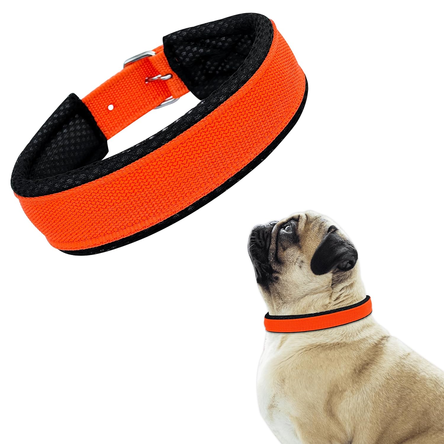 Buy Aik India Dog Collar for Small Medium Large Dogs, Soft Padded Dog