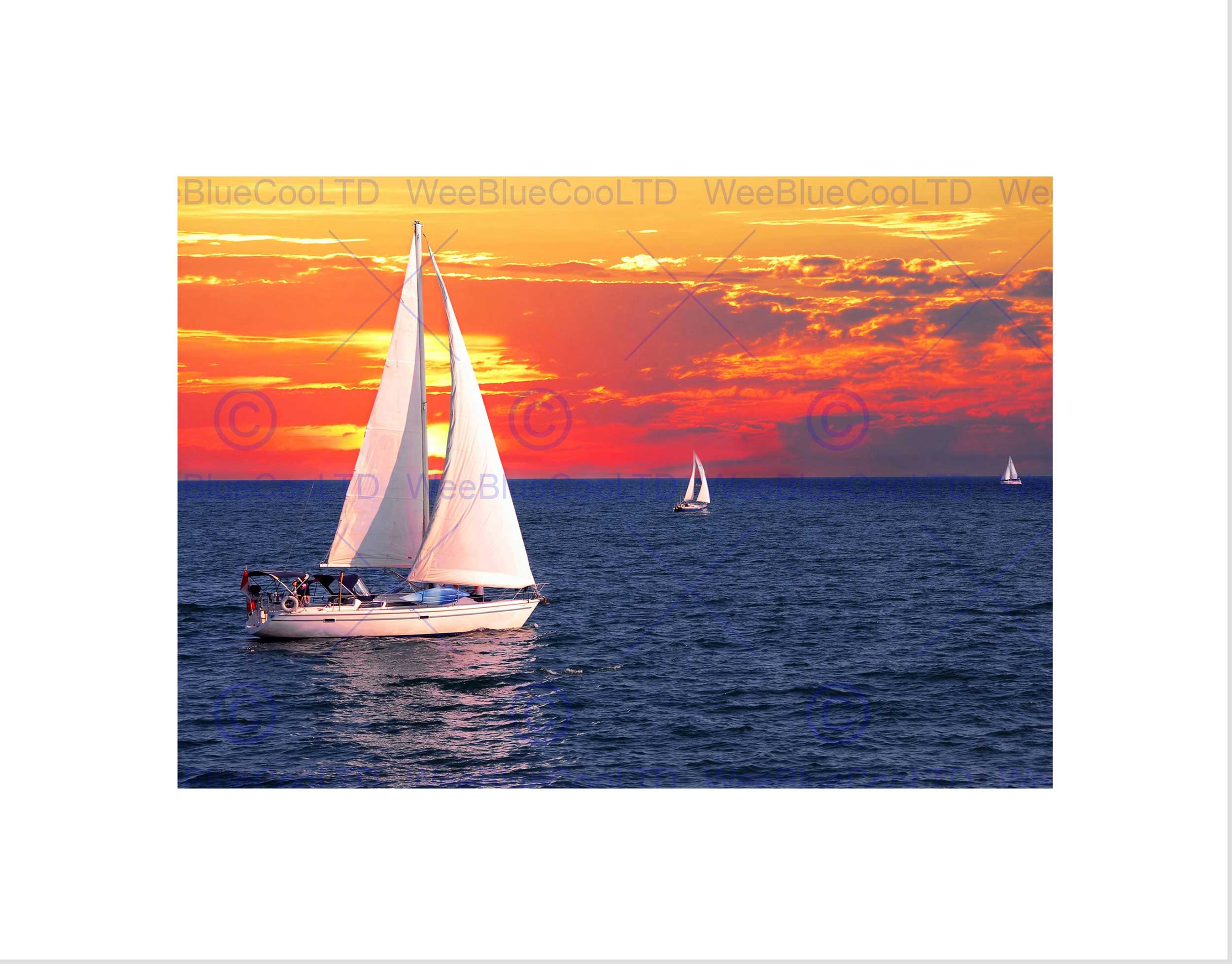 Wee Blue Coo Sailboats Sunset Pink Sky Sea Art Picture Wall Art Print