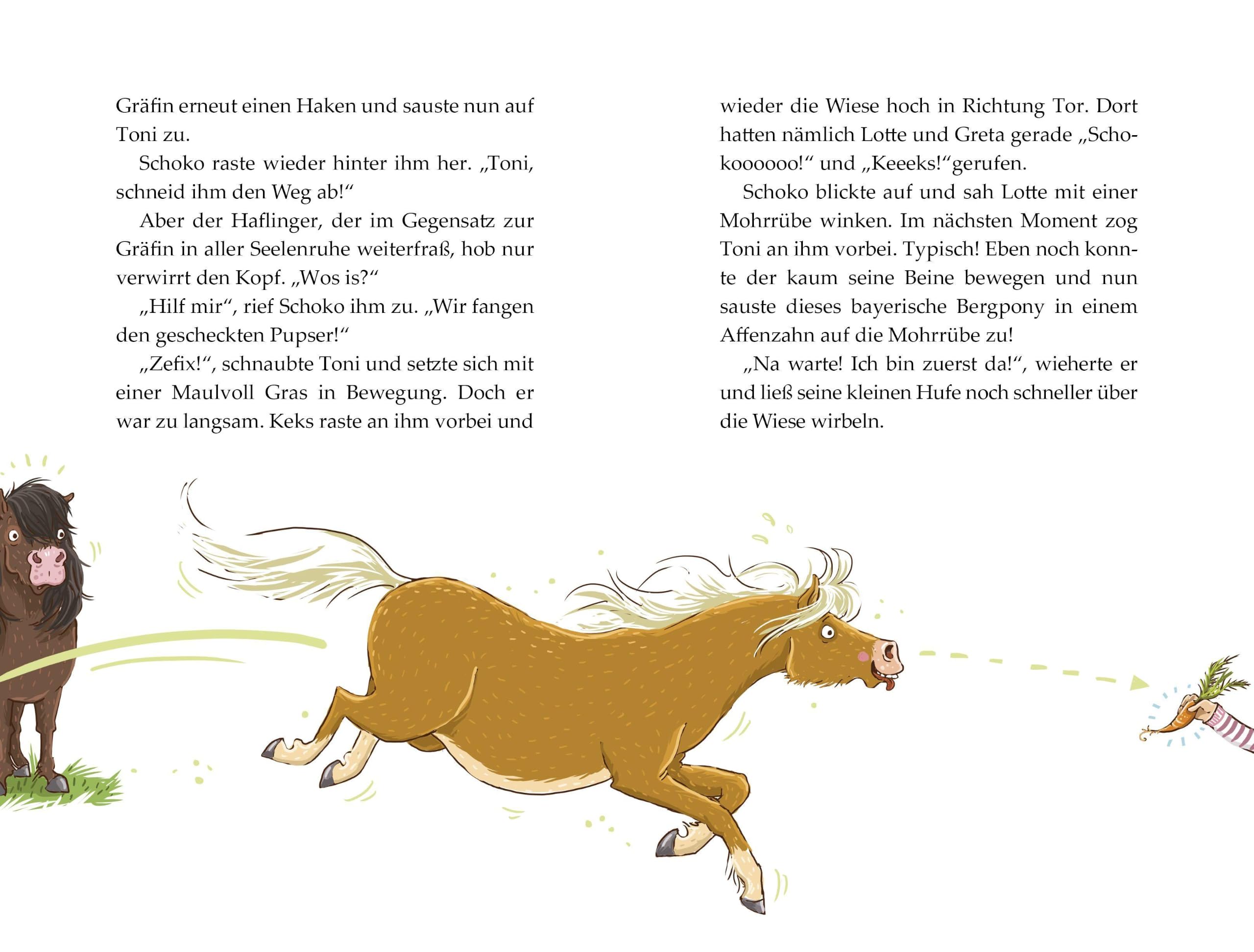 Die Haferhorde - Volle Mähne!: Band 2 der lustigen Ponyabenteuer für Kinder ab 8 Jahren