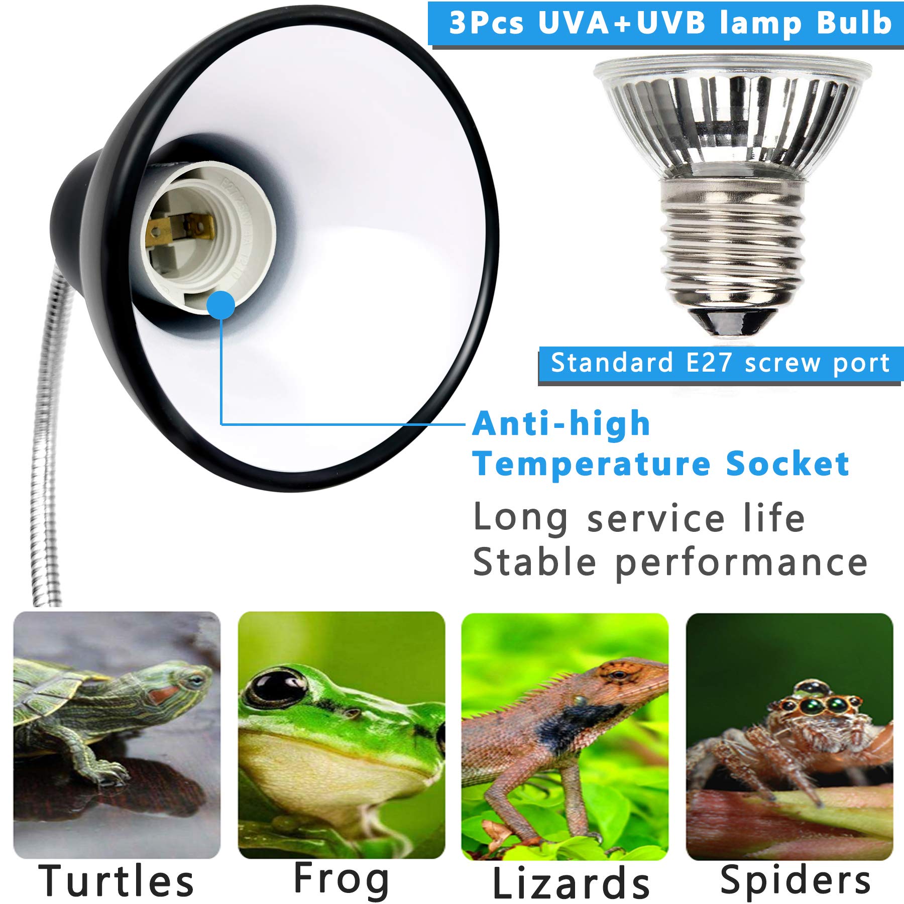 reptile and amphibian habitat heating and lighting
