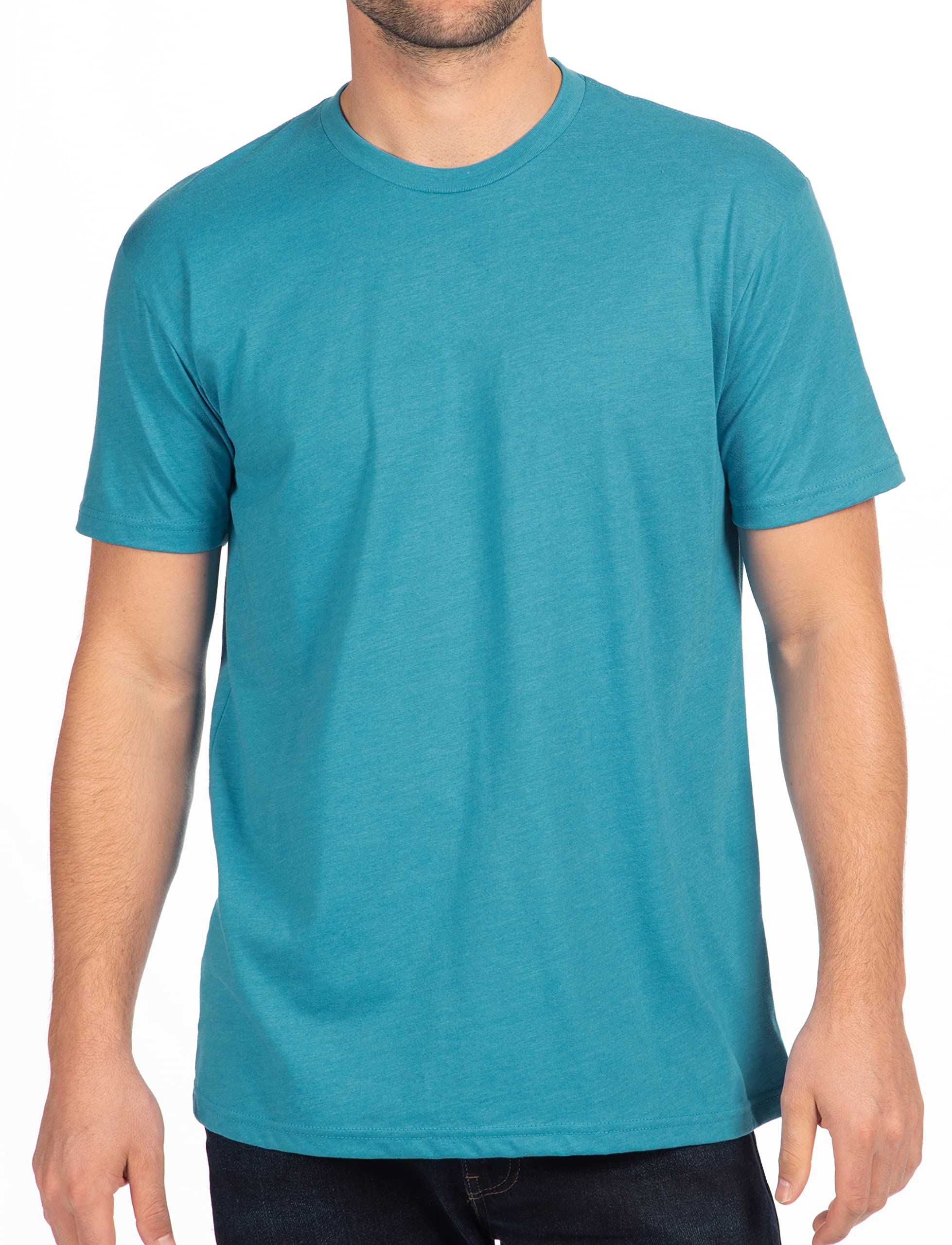 Next Level Apparel Mens N6210