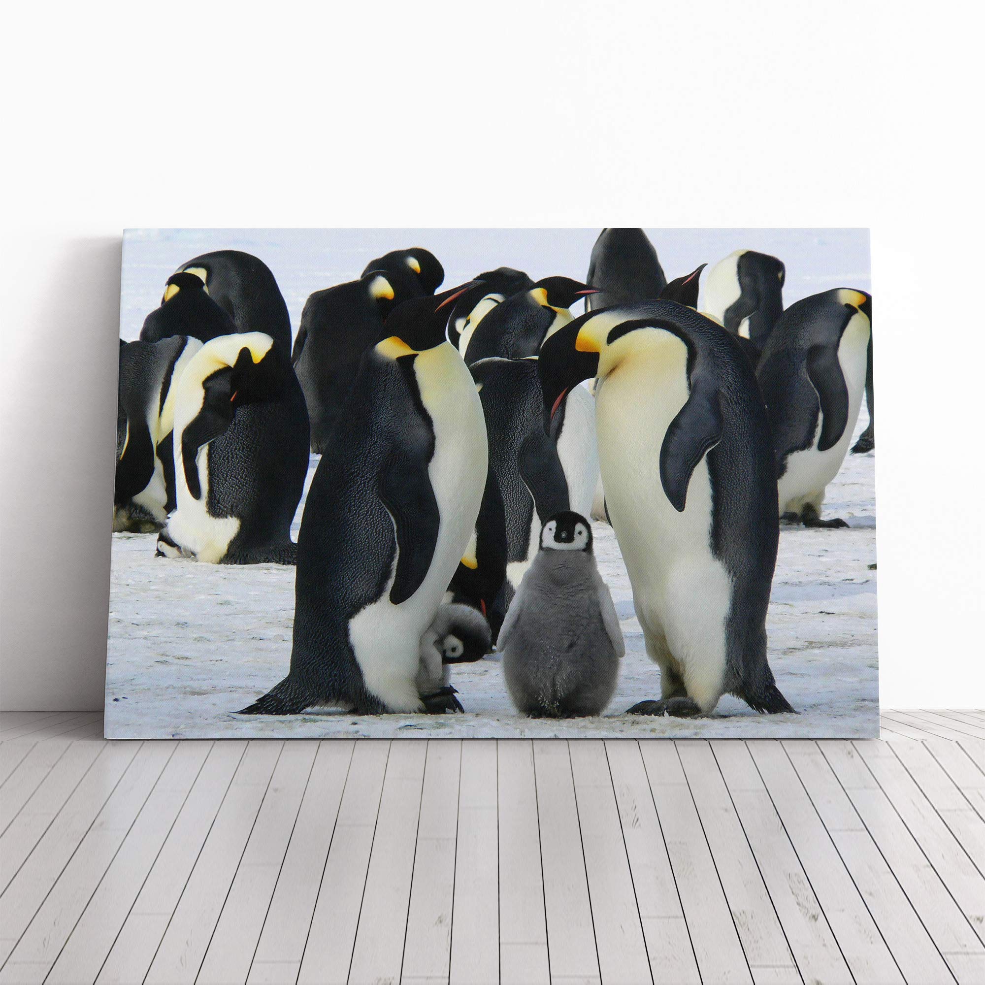 Emperor Penguins Canvas Print | Gallery Wrapped 30mm Frame Wall Art | 24x16 inches | Ready to Hang | Modern Bird Picture | Living Room Bedroom Lounge Office