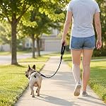 Strong Heavy Duty Dog Leash for Large Dogs with Padded Handle - 6FT,10FT,15FT,30FT,50FT Long Dog Leads, Durable Pet Training Leash for Medium & Small Dogs (6FT1/2Inch,Black)